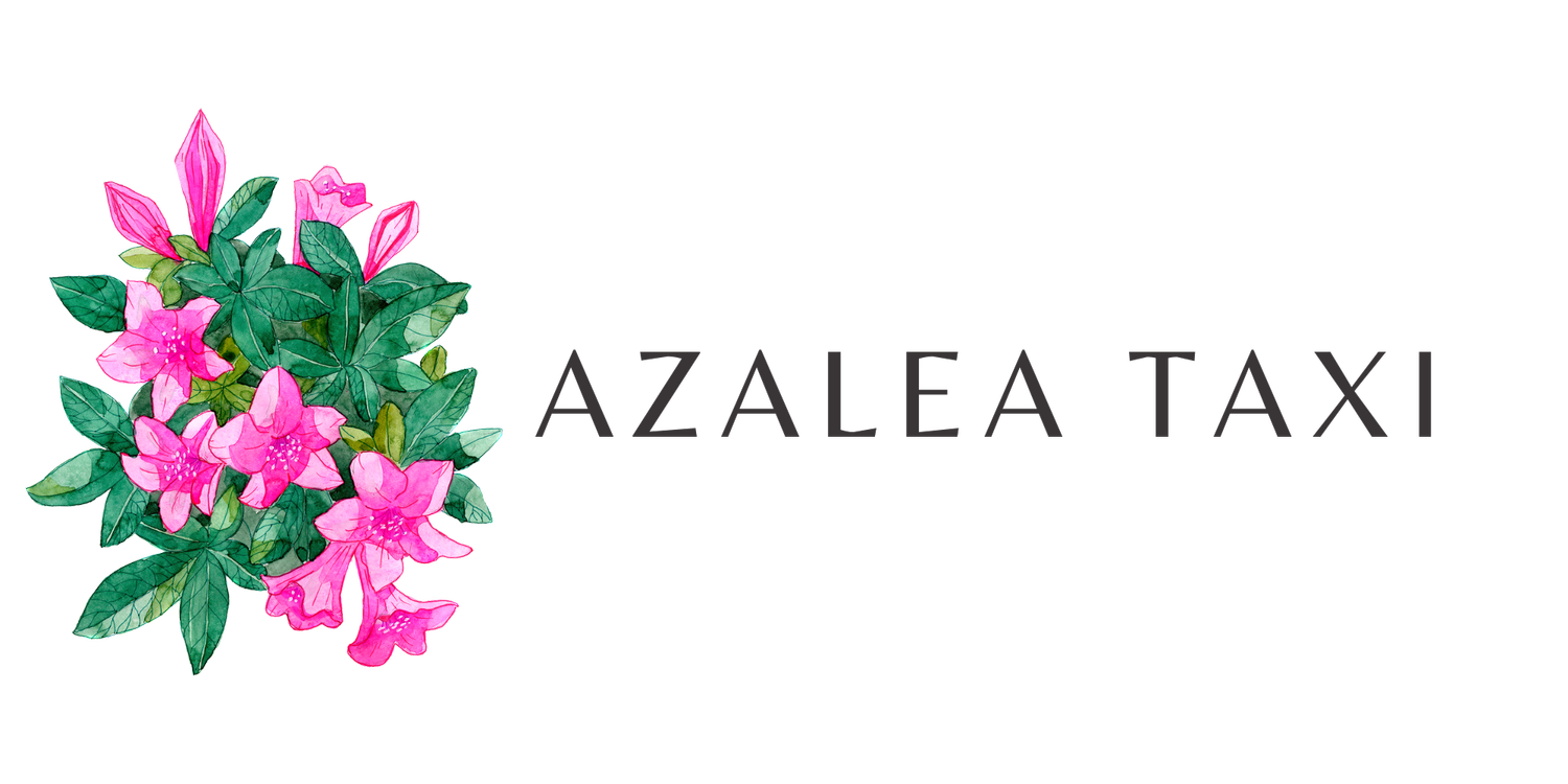 azaleataxi.com