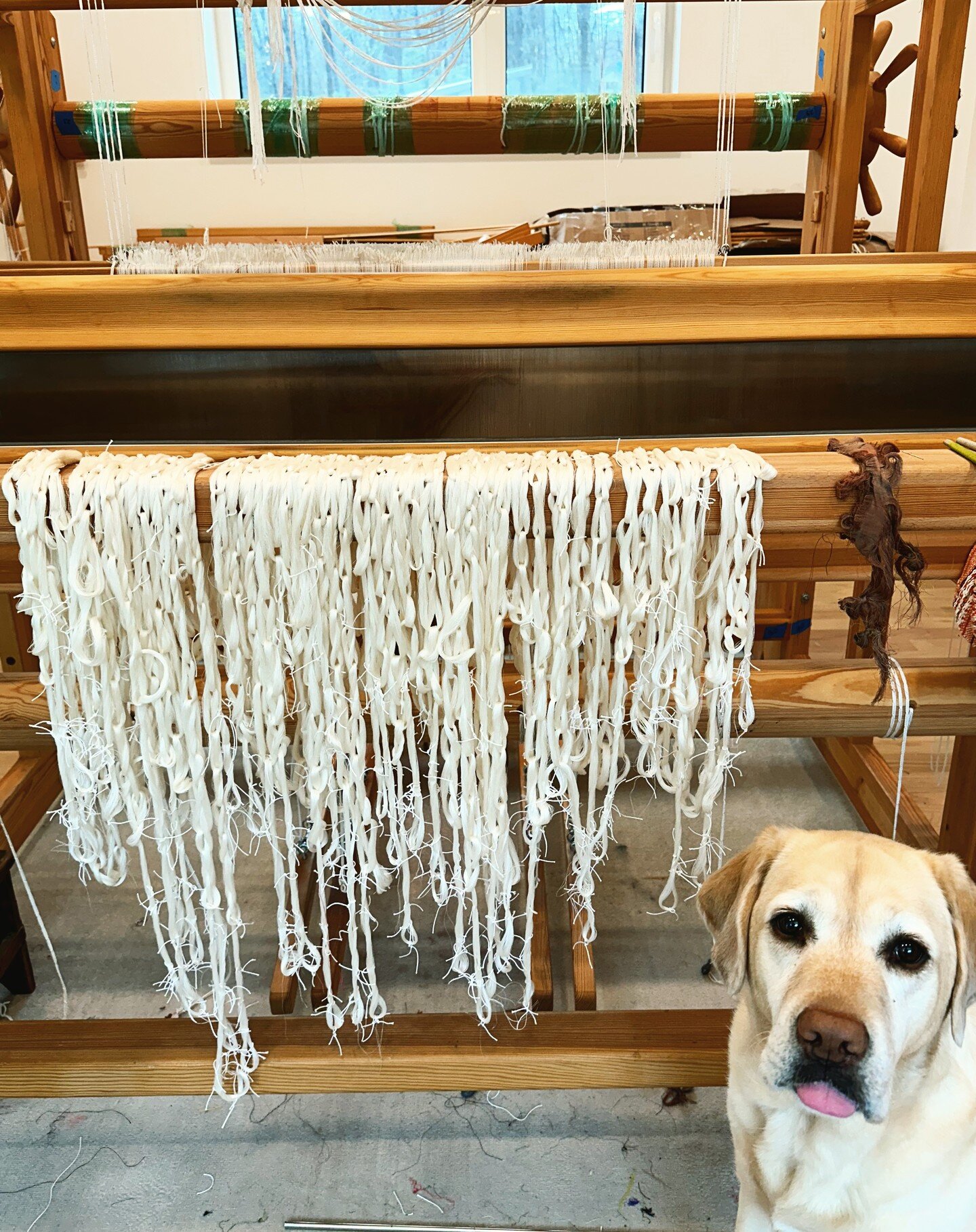 Happy Friday! I hope that everyone found some moments of peace and joy in the week ❤️

I've finished measuring out the ground warp and I'm pretty sure that Happy thinks that she deserves all of the credit. The chains for the second warp, which will p