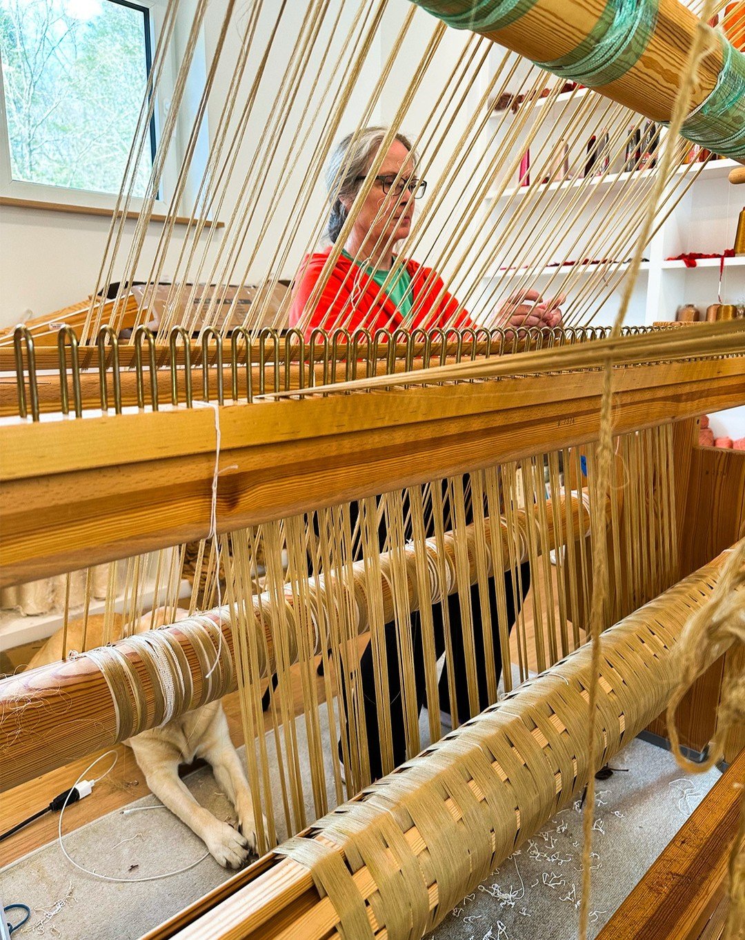 Good morning! I'm so happy to share that, aside from a little stiffness and bruising, my thumb is healed and I'm back at the loom. Yay!! The second warp is almost beamed and, with any luck, I'll soon be threading. My fingers are crossed (heh-heh) tha