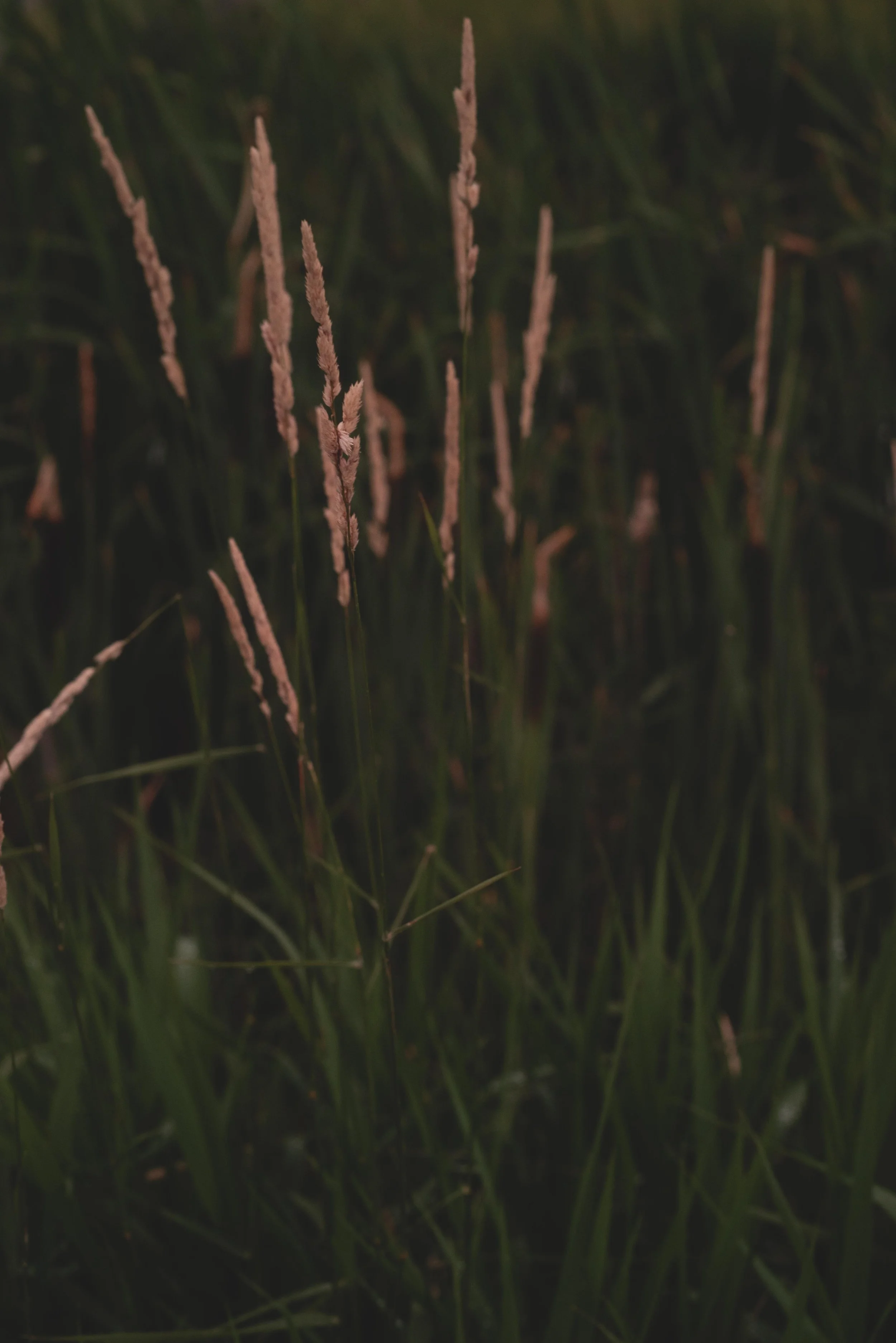 810_5902-Edit.jpg