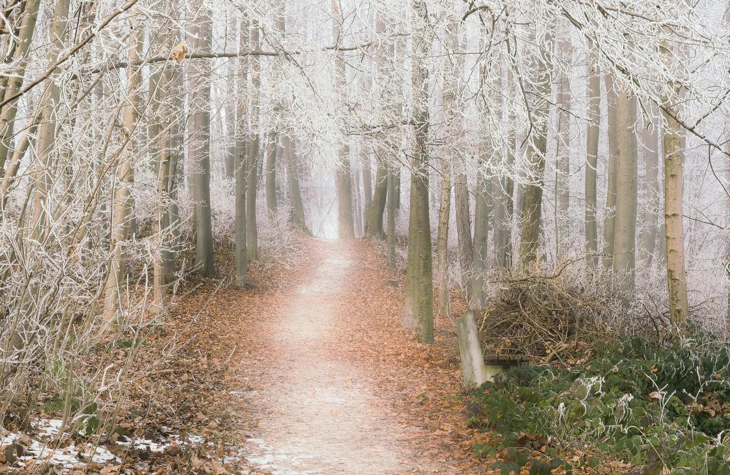 Connecting to the north node path your soul recognises… 