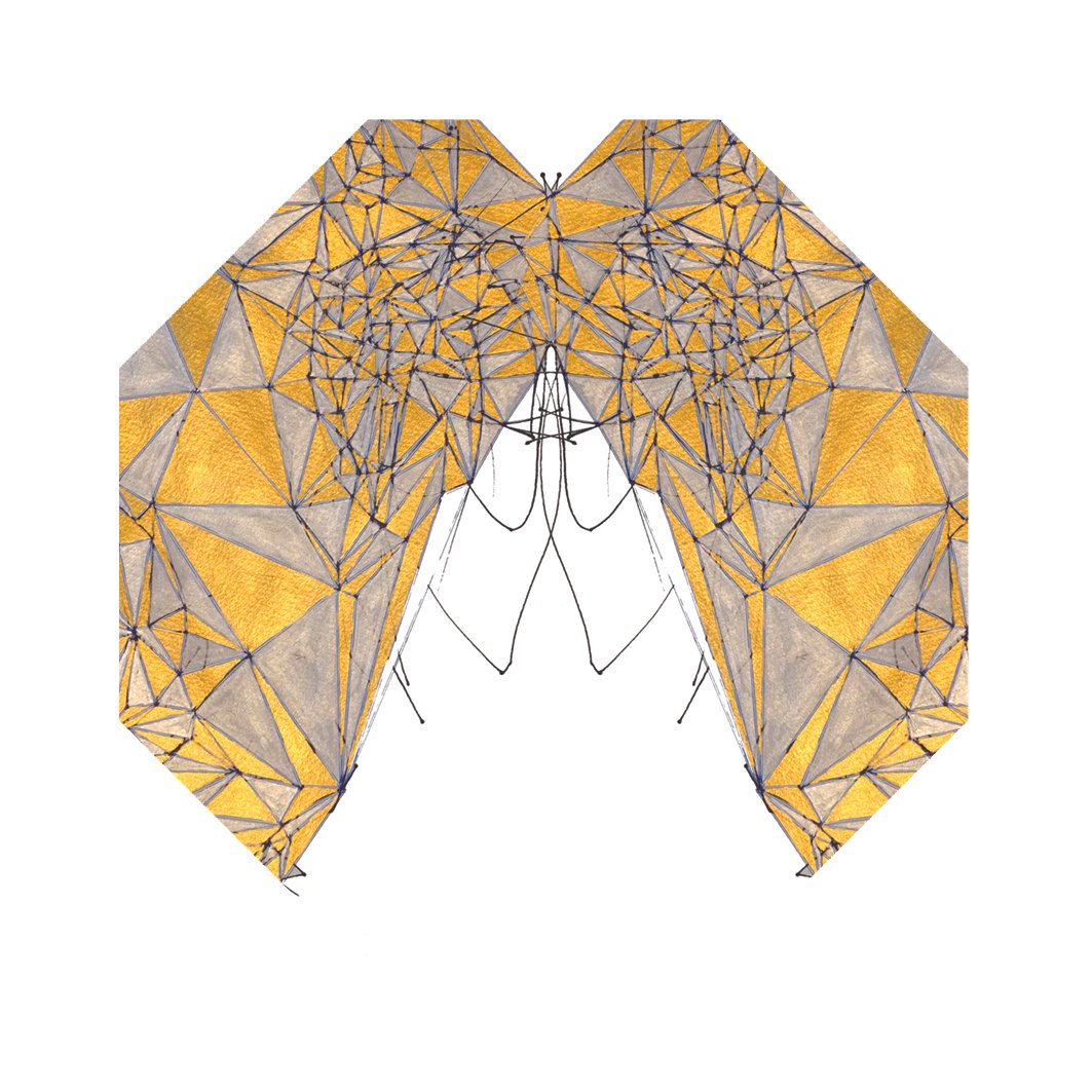 54. ENTRANCE
Accent unfold
Where I am folded there I am a lie
What do I need to transmit and how?
I open to cross over to transition into the unknown fully heart centred
Clear light beams me to being
What is my natural state? In line or out of line