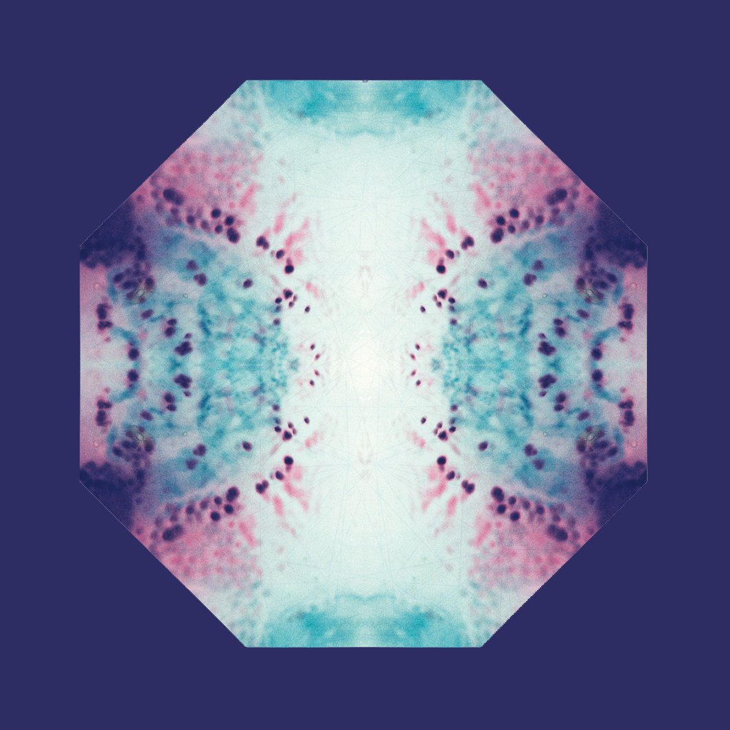 BOUNDARY
Certainty
Contradictory conversations and experiences are attracted by emotions kept by the body
Is there balance in this situation?
I celebrate the power and knowing of the creative force
What are you not willing to accept?