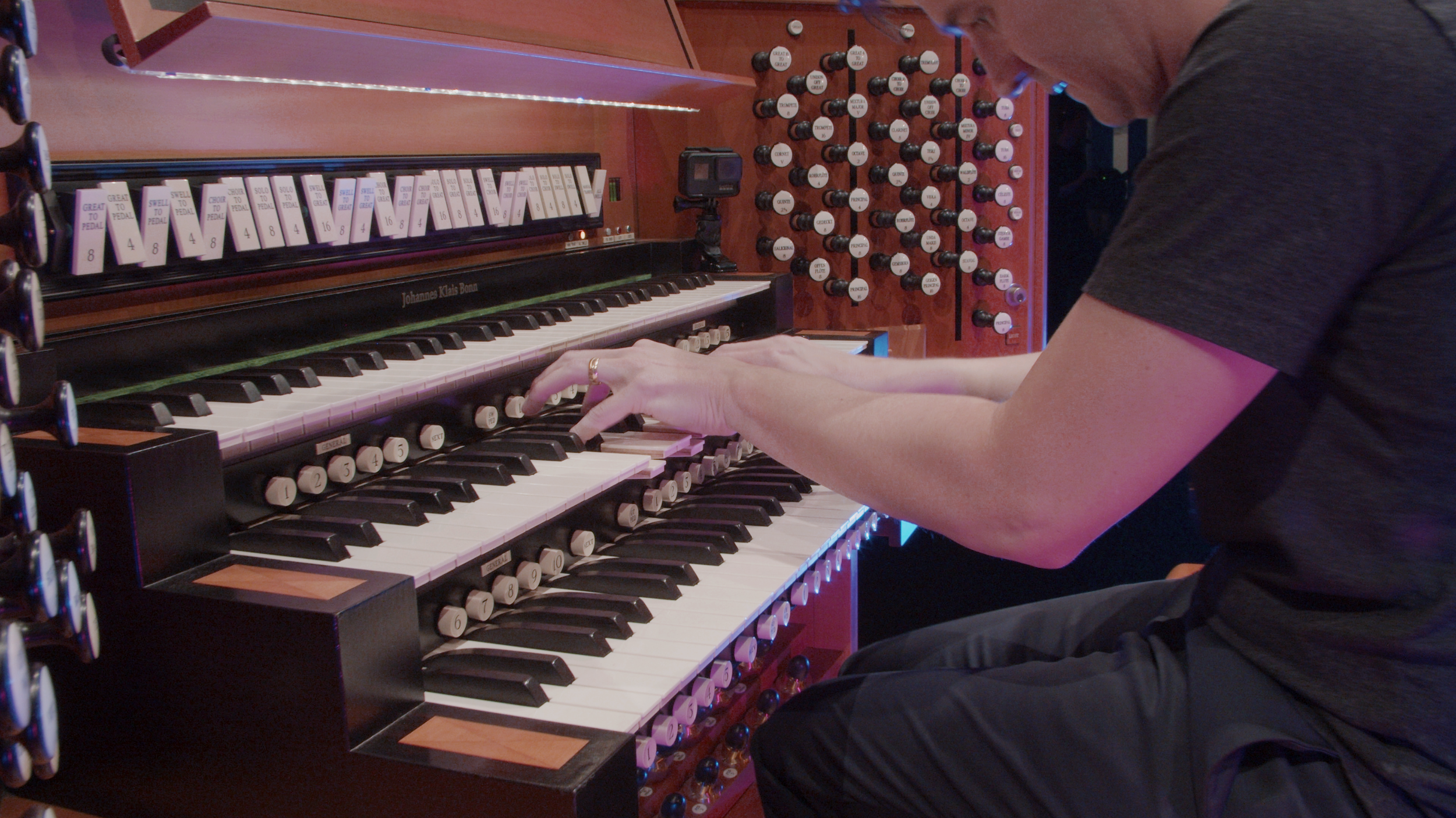 Looking Down Organ- Fixed.png