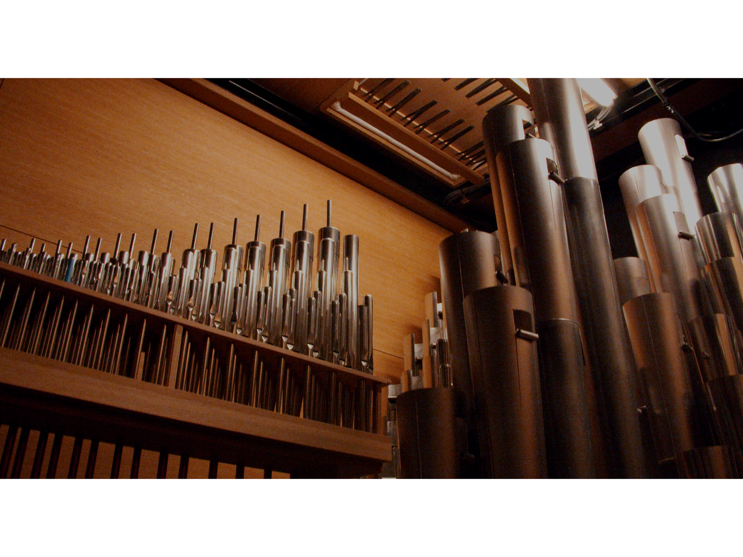 Inside The Pipes- Fixed.png