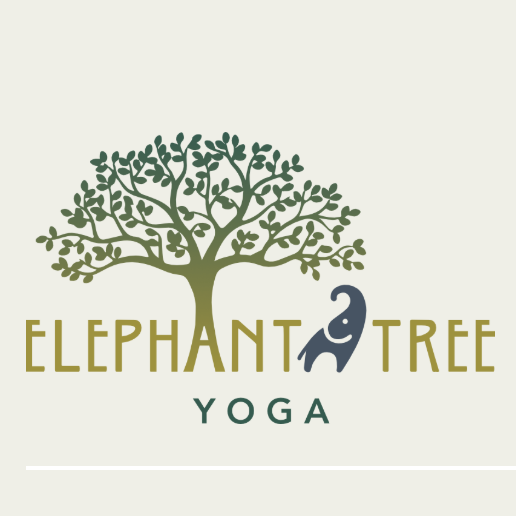 Ayurveda for Longevity: Discover Your Unique Balance with Kim V. Povey