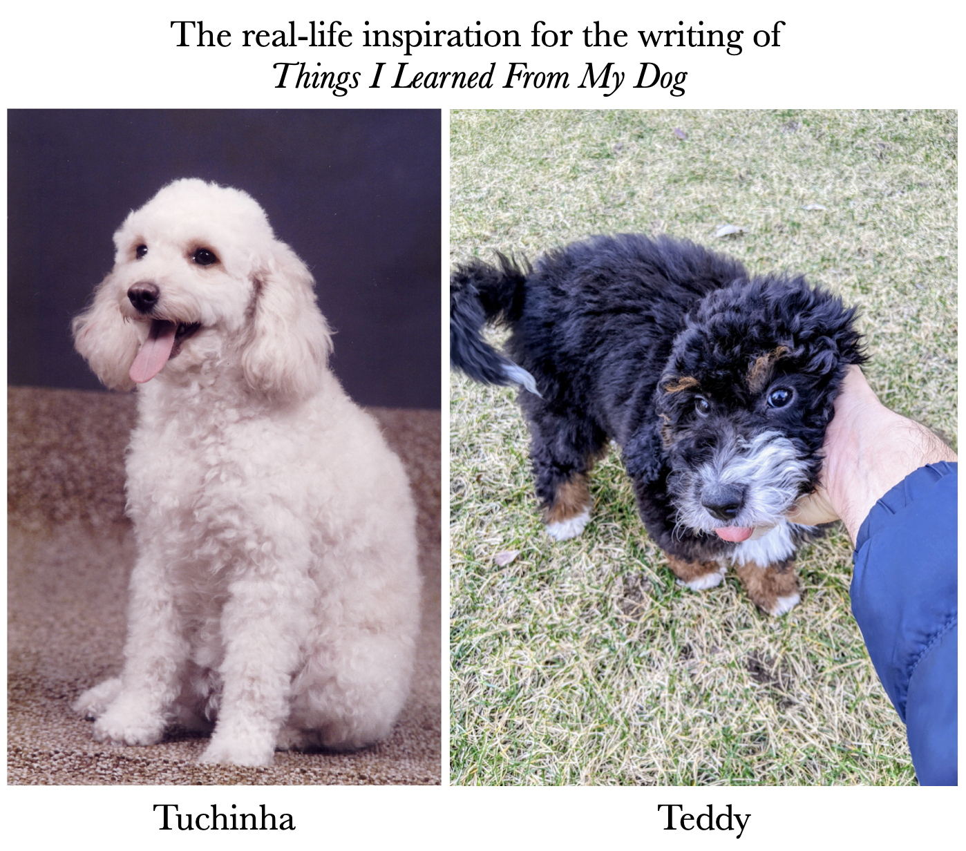 Screenshot 2026-02-01 at 1.37.09 PM.png