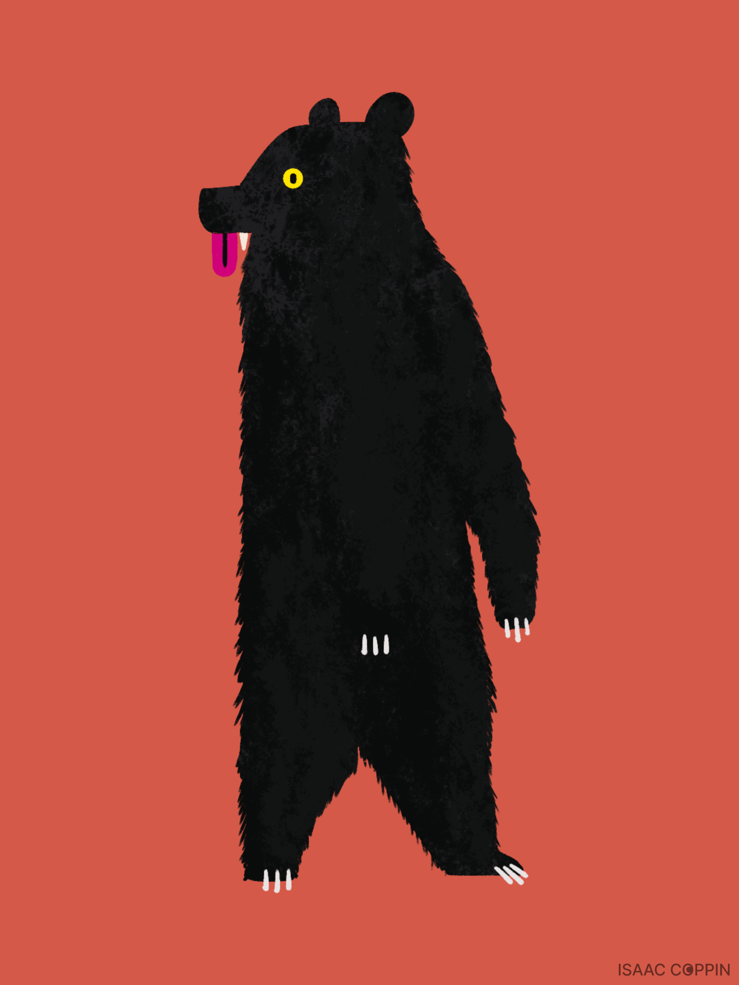 Bear.png