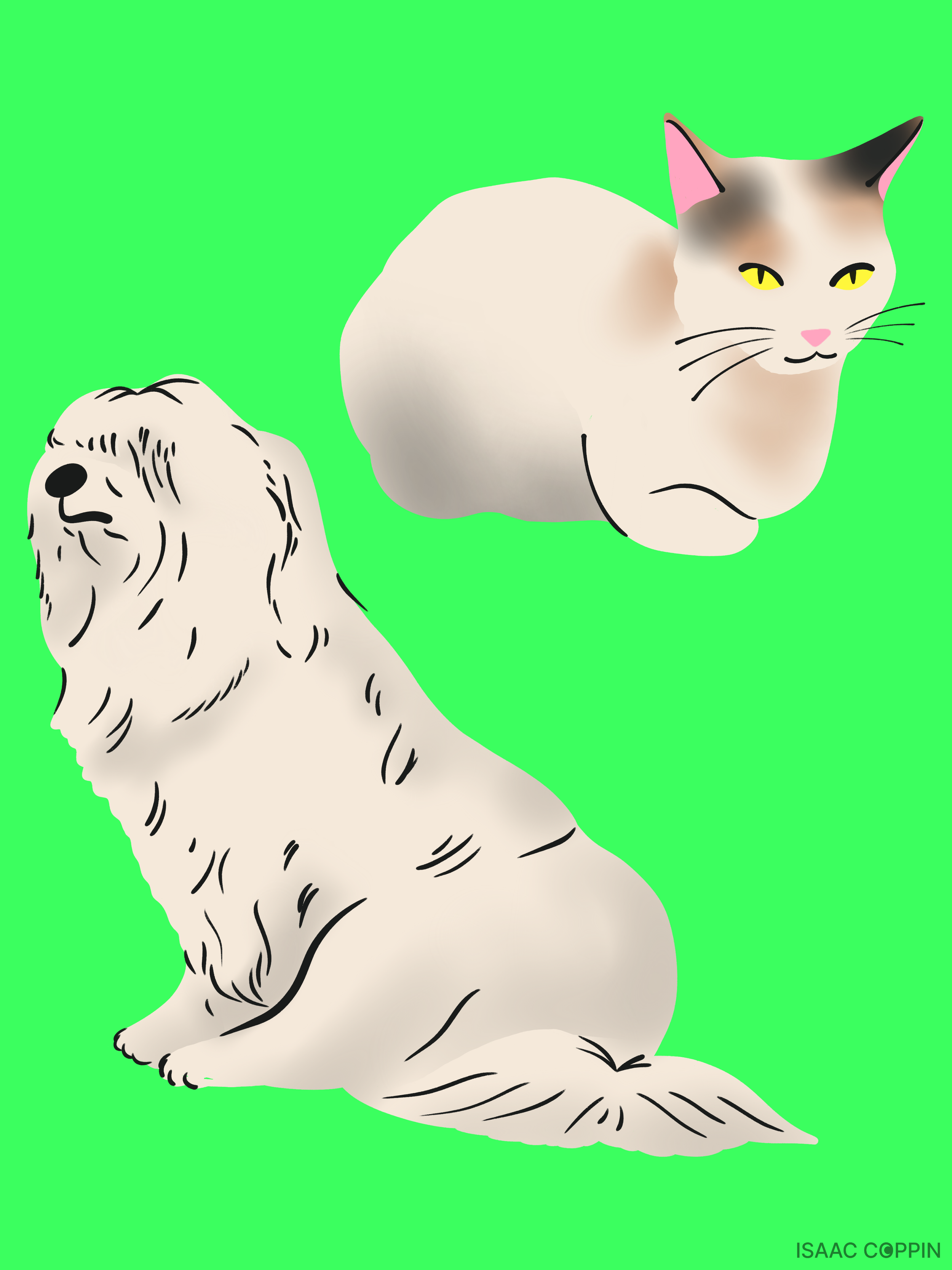 PET_DAY_3.png