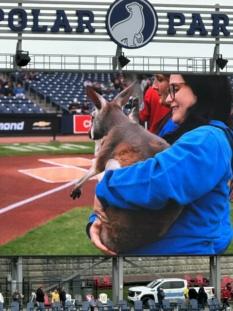 Kangaroo