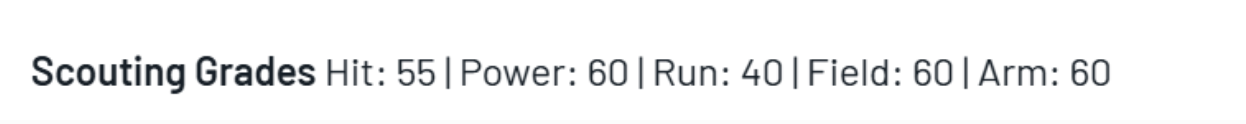 Mayer Scouting Report