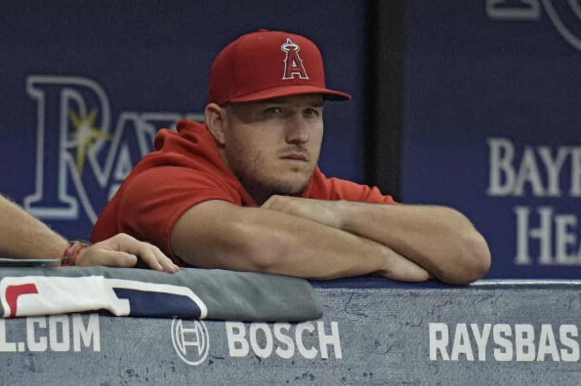 Trout in Dugout