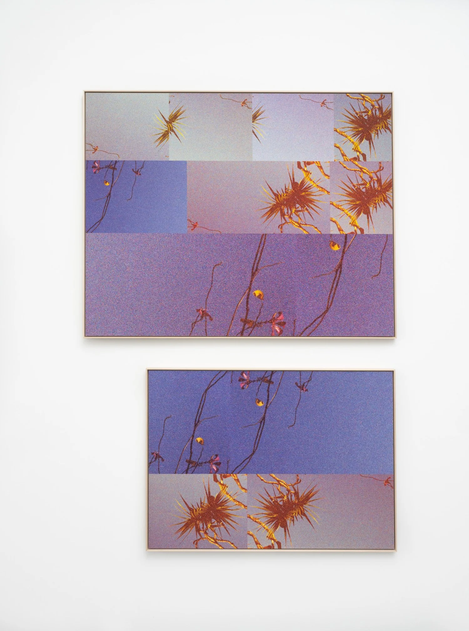 Sarah Rooney - Stick Creature Autobiographies - photo works