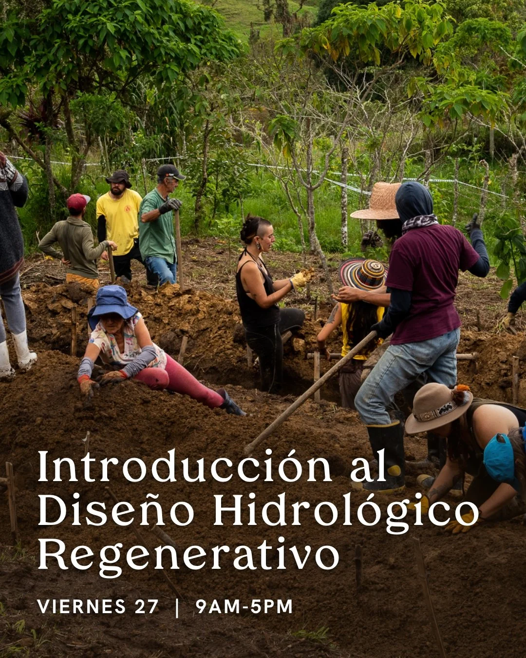 Instagram Post – 45.jpg