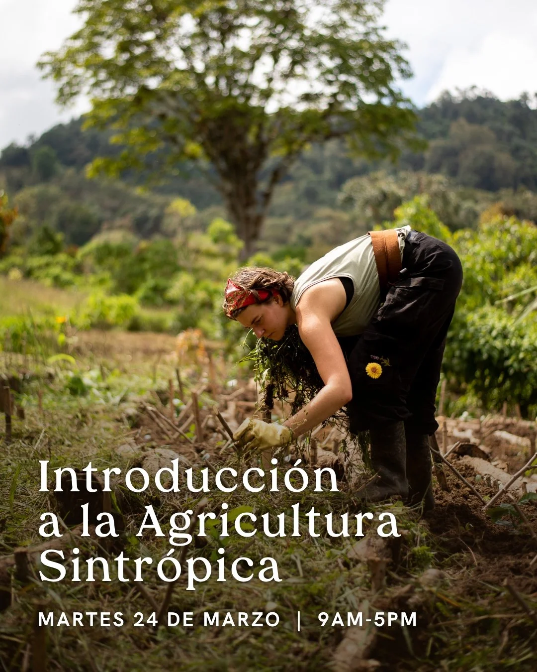 Instagram Post – 32.jpg