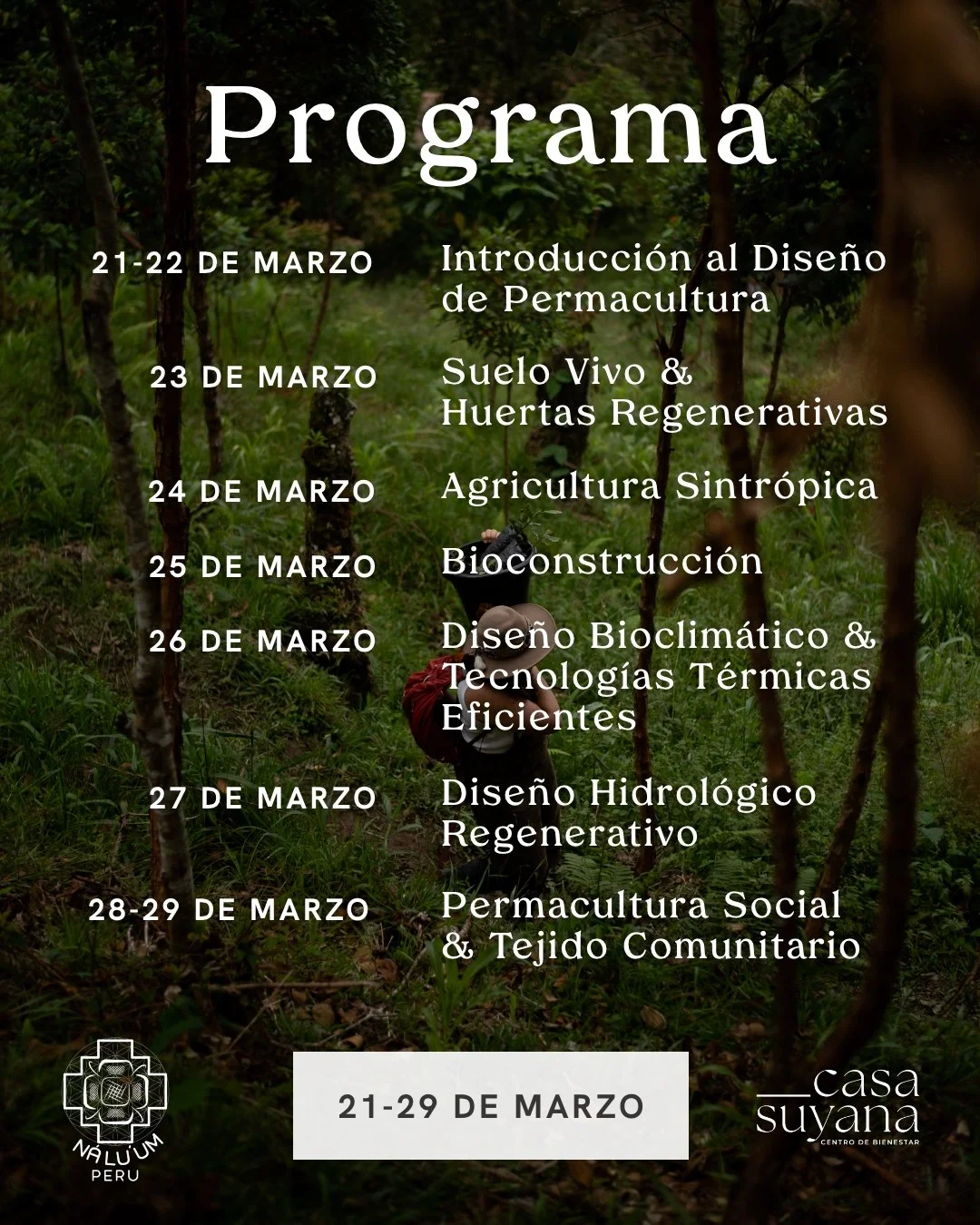 Instagram Post – 43.jpg