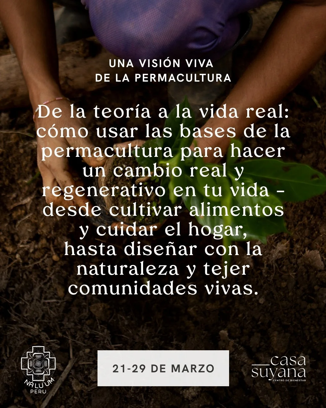 Instagram Post – 41.jpg