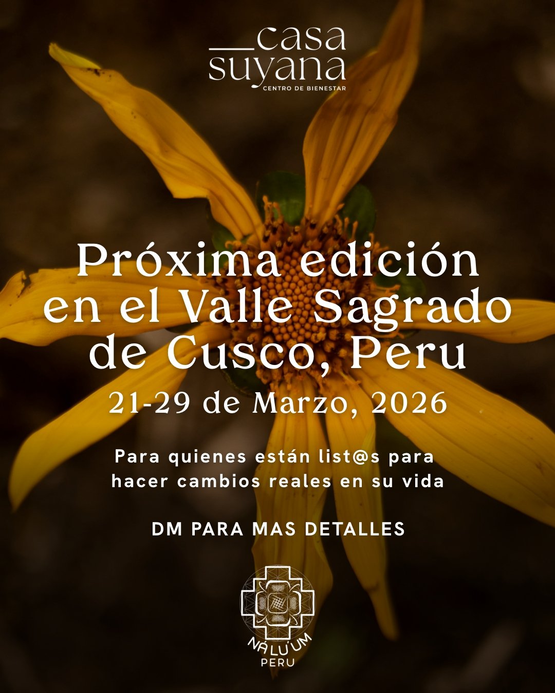 Instagram Post – 39.jpg