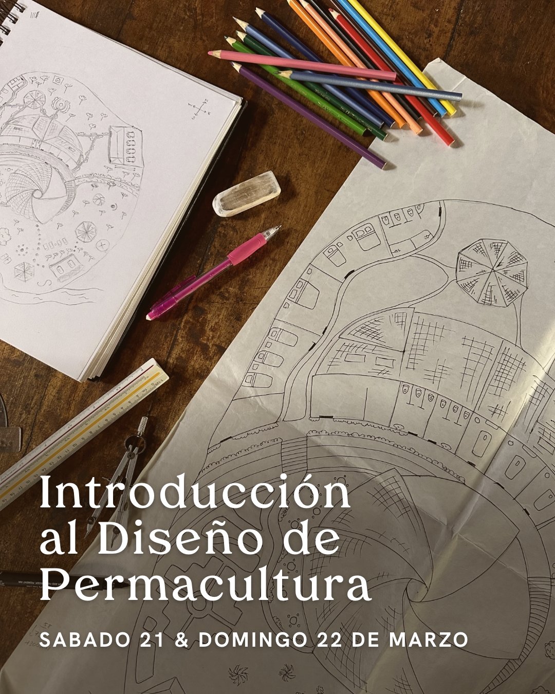 Instagram Post – 31.jpg