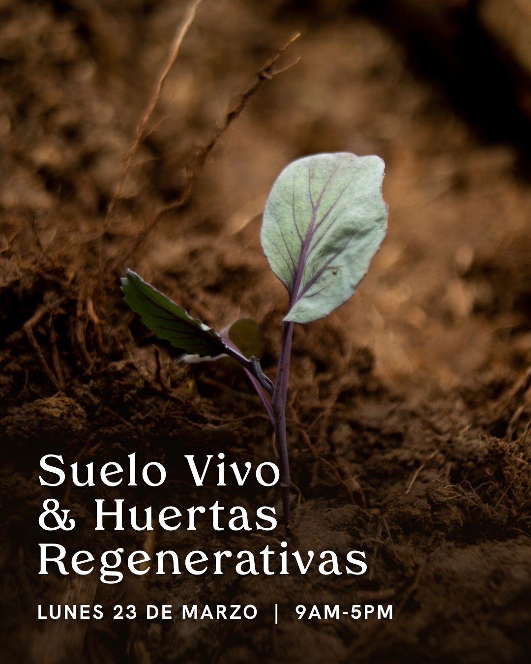 Instagram Post – 44.jpg