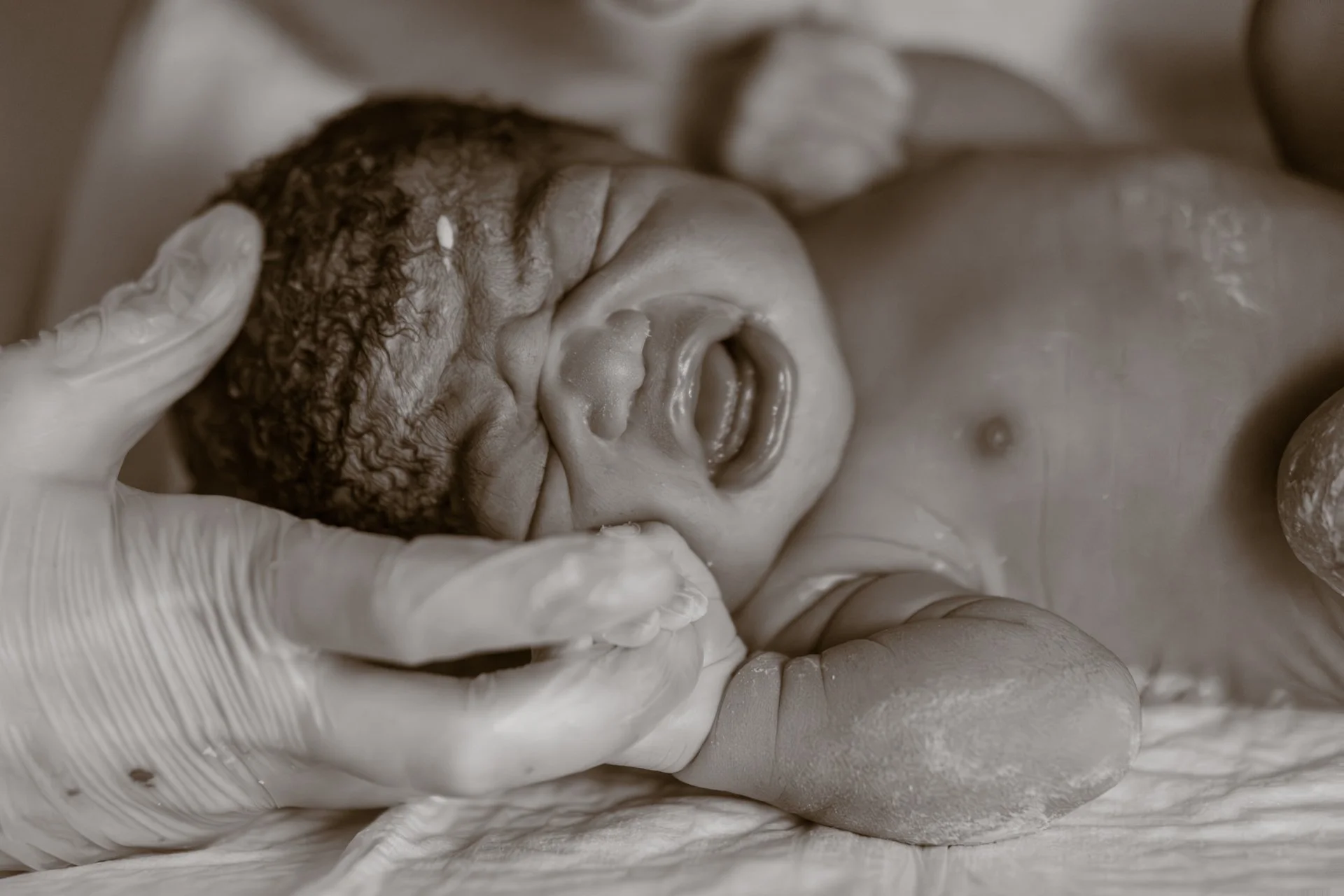 gros plan de pieds de nouveau né en noir et blanc.