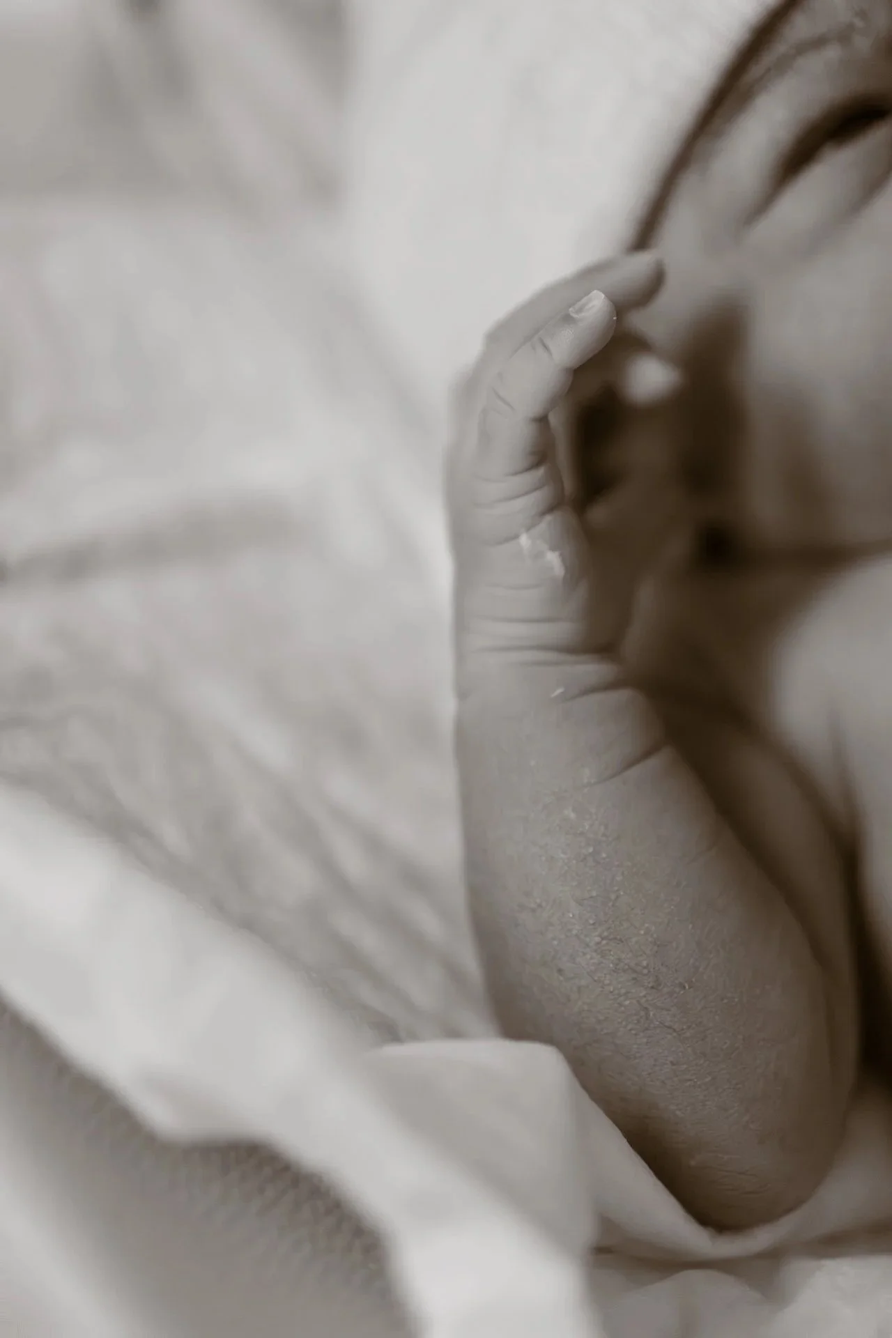 DSCF8254-Avec accentuation-Bruit.jpg