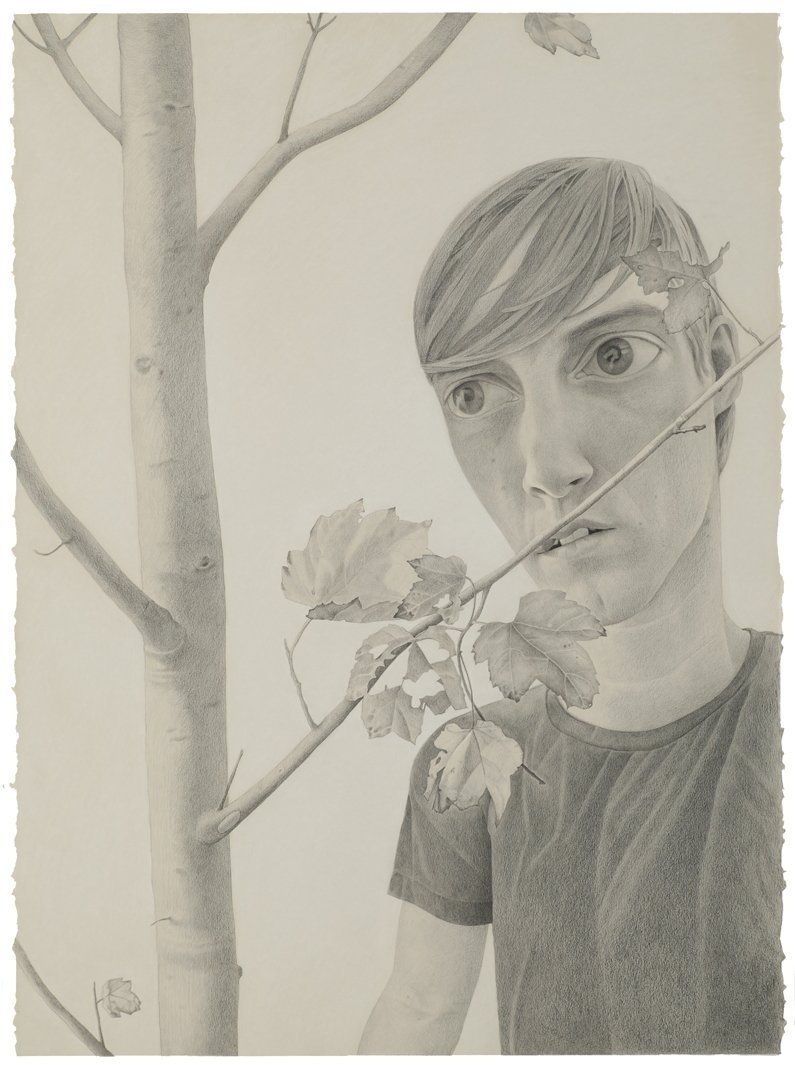 Untitled (Tree), Graphite on paper, 30 x 22 x 1.50 in, 2011