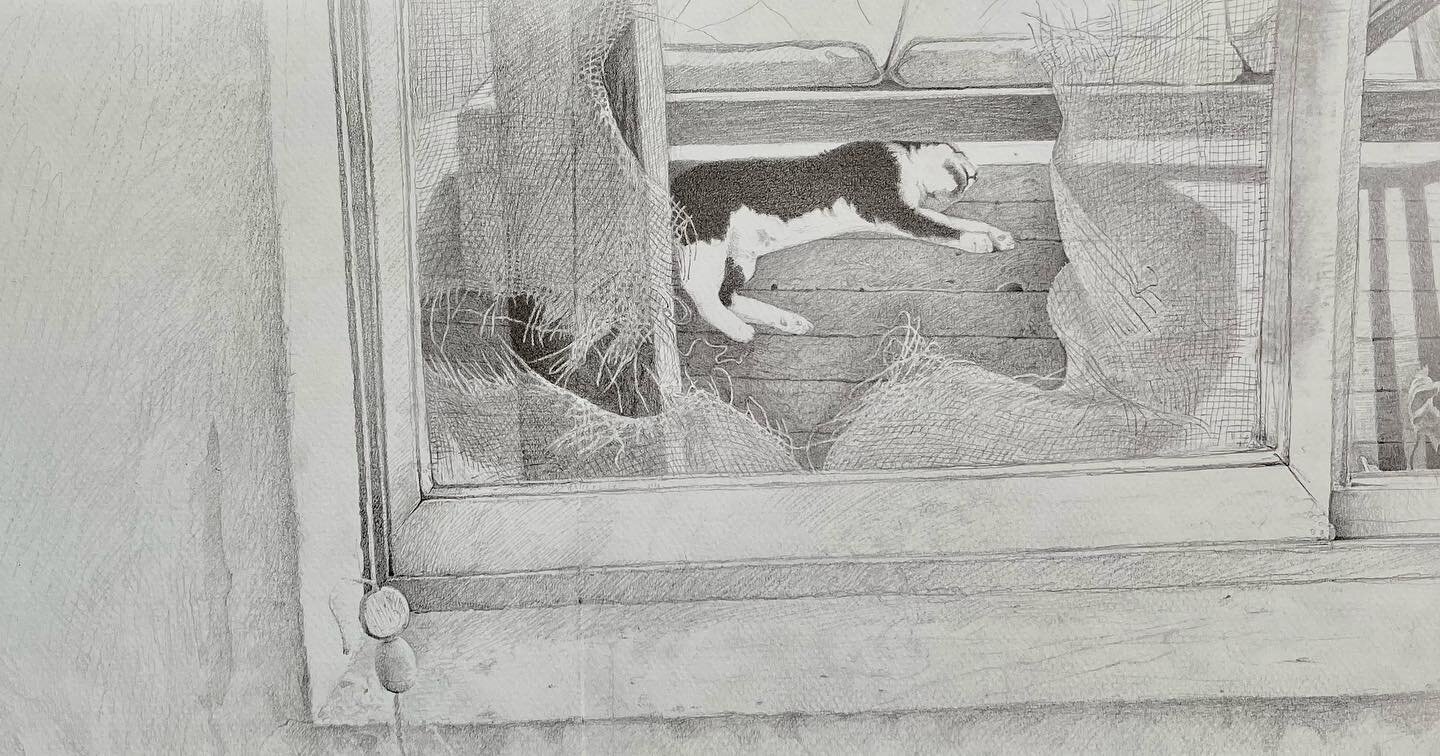 This was one of my life drawings while on retreat in Ukiah. My great model was Tuckle,and an epic screen window.  @colterjacobsen @lrinder