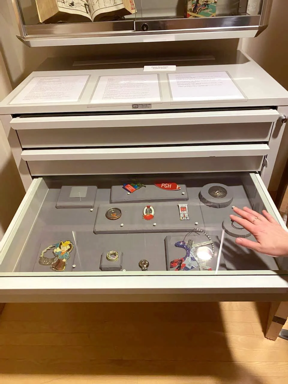 Dorsky Drawer Before