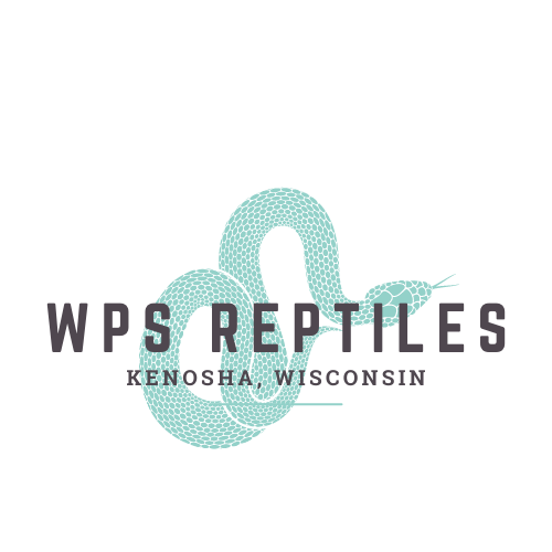 WPS Reptiles