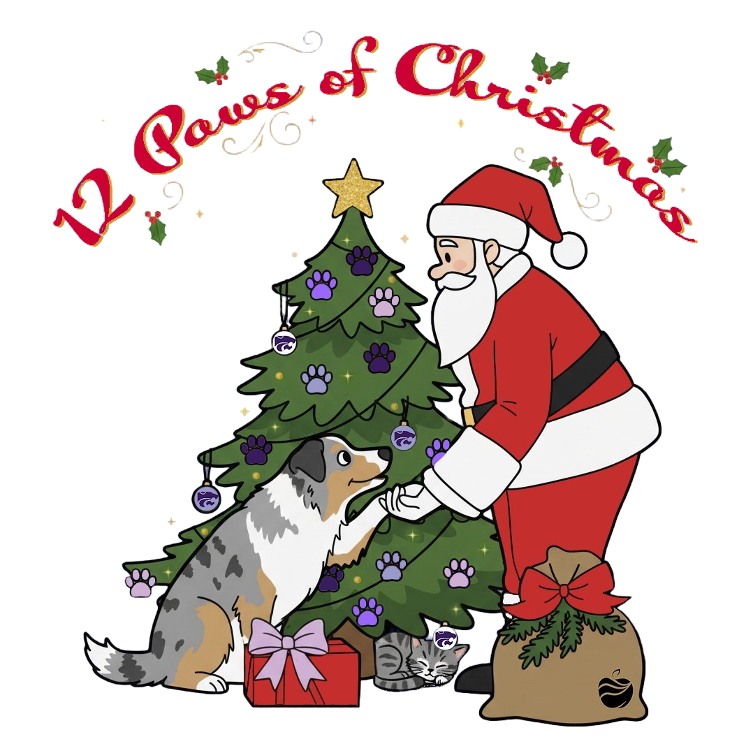 Santa Paws