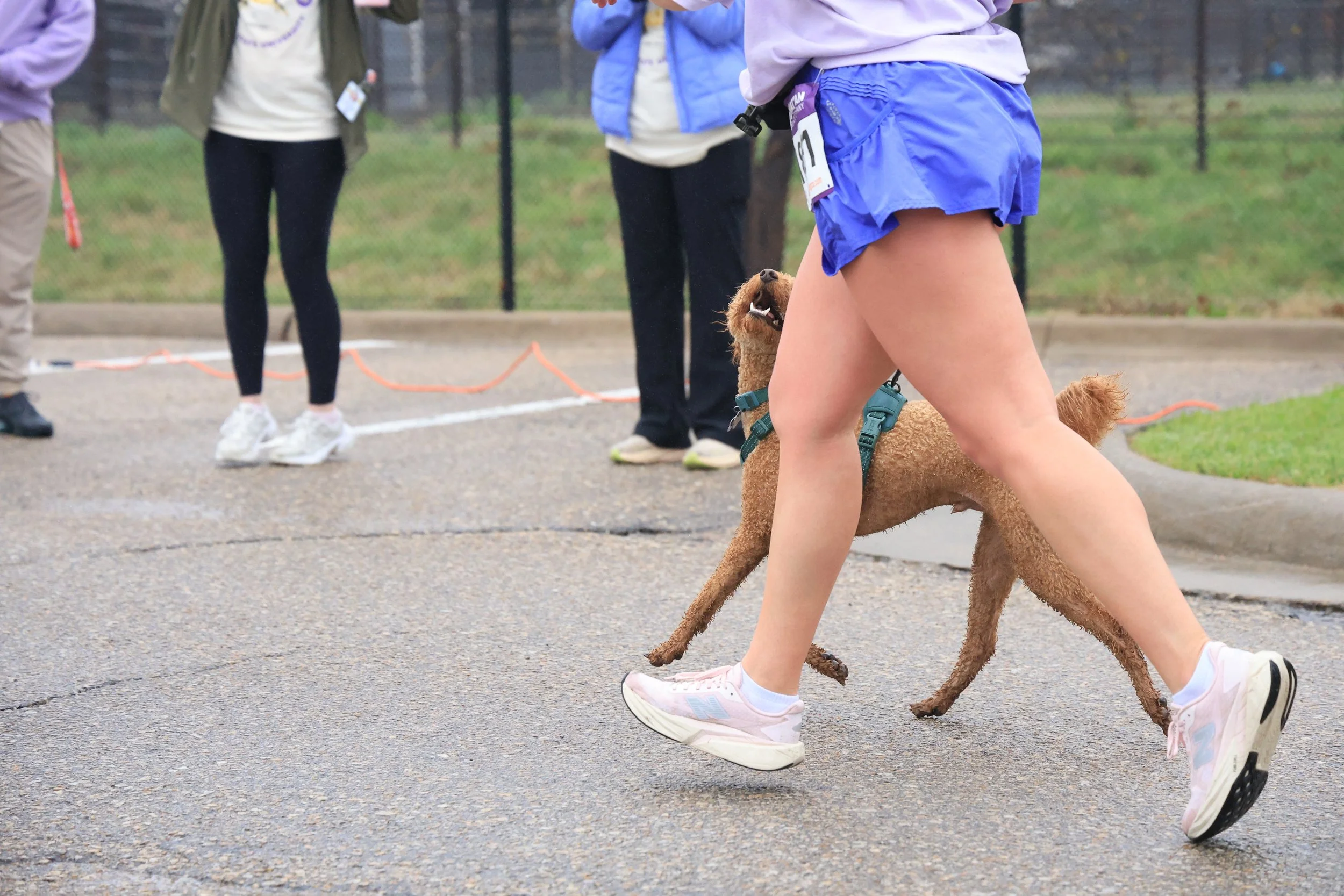 KSU Vet Med 31st Annual Dog-N-Jog