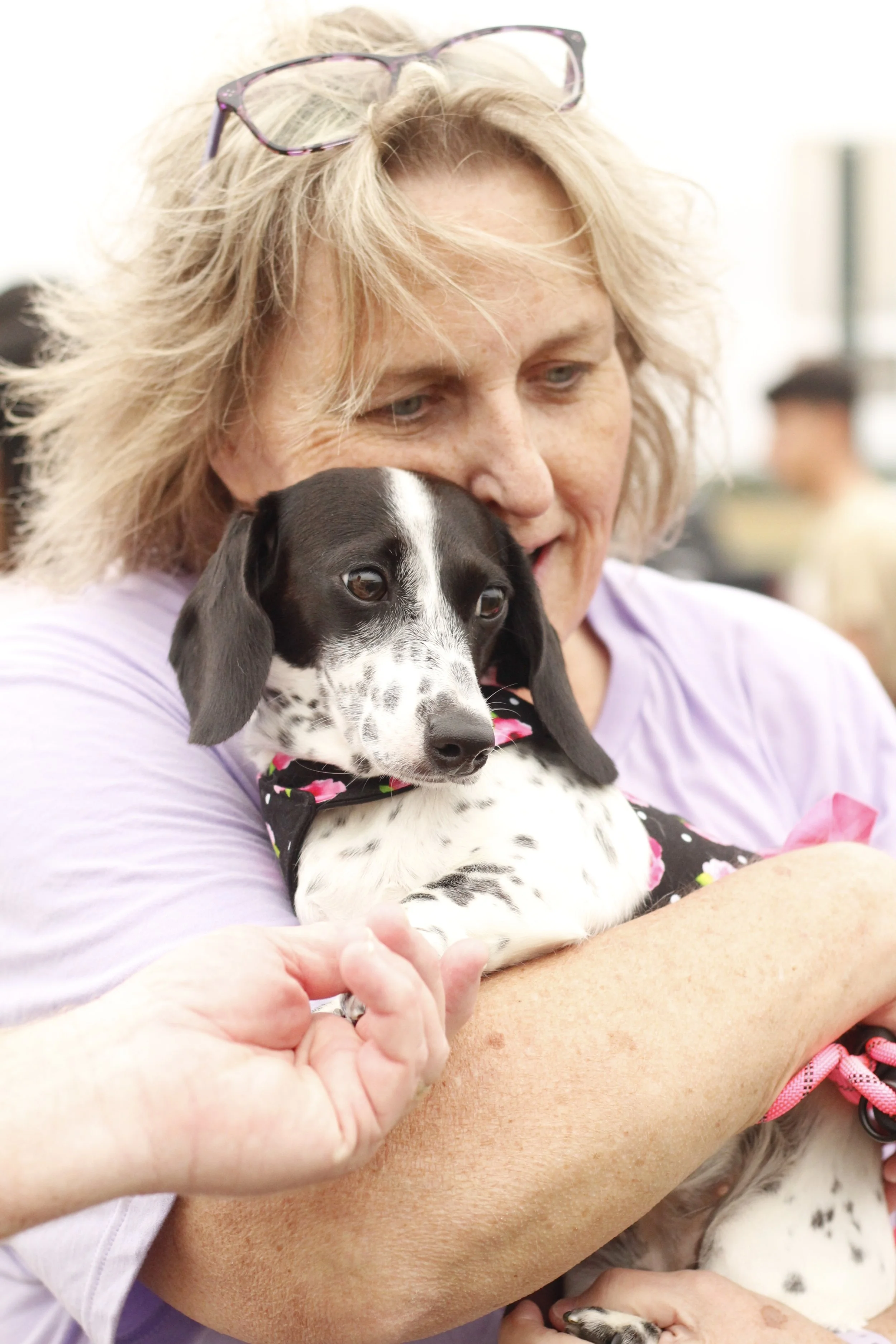 PawtographyWeenieWalk_7283.JPG