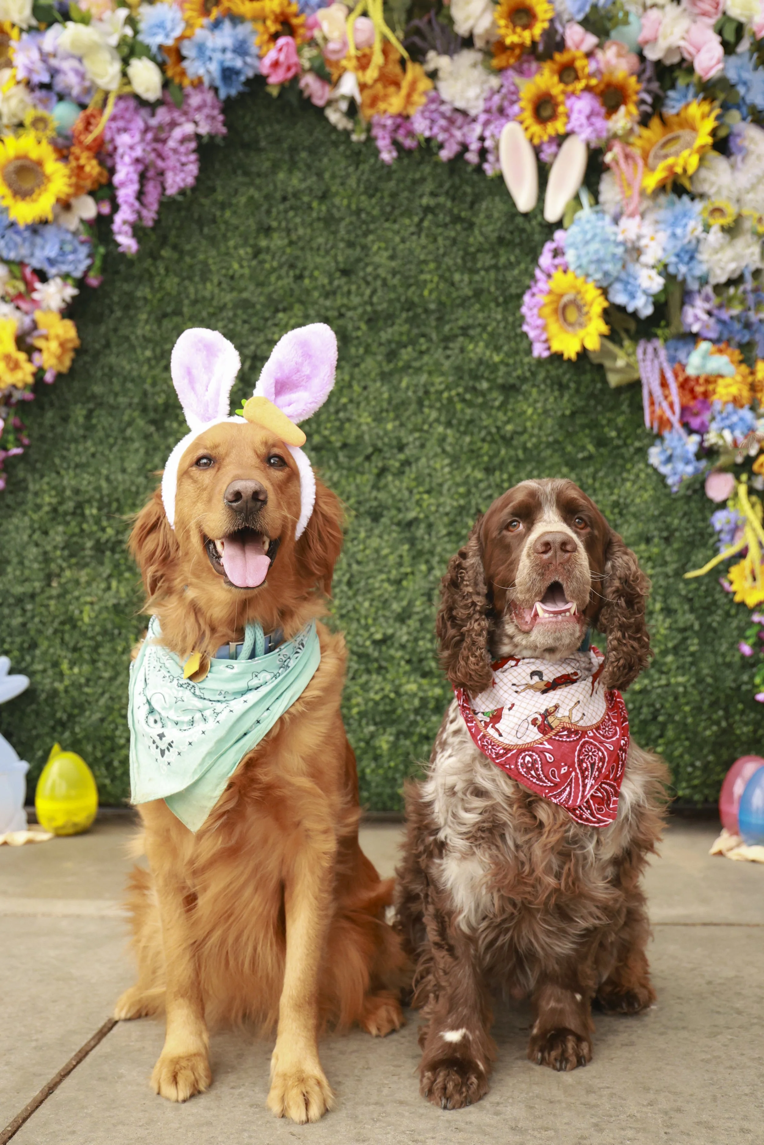 PuppyPawty_017.JPG