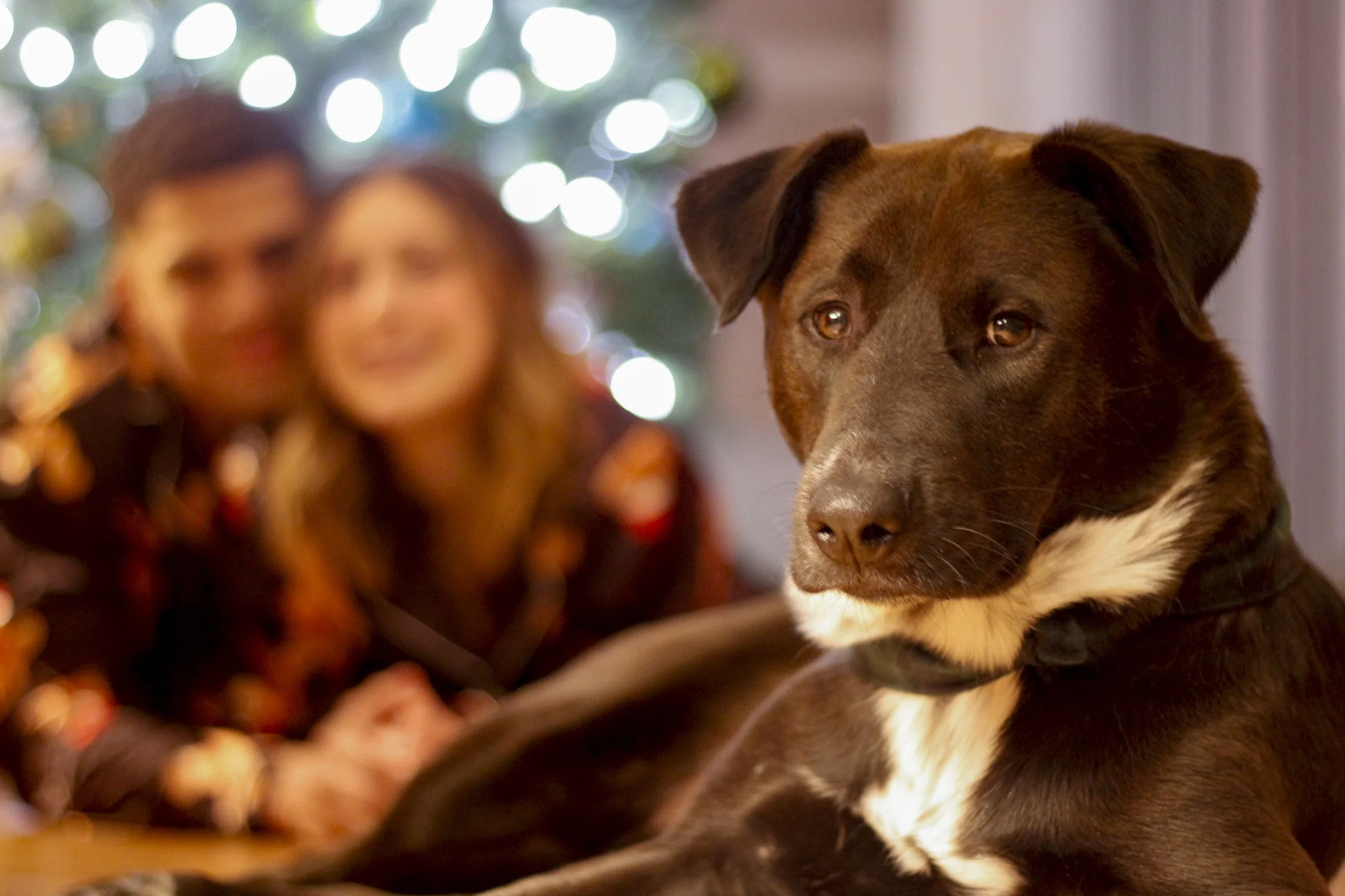 Pawtography_Castillofam (71).JPG