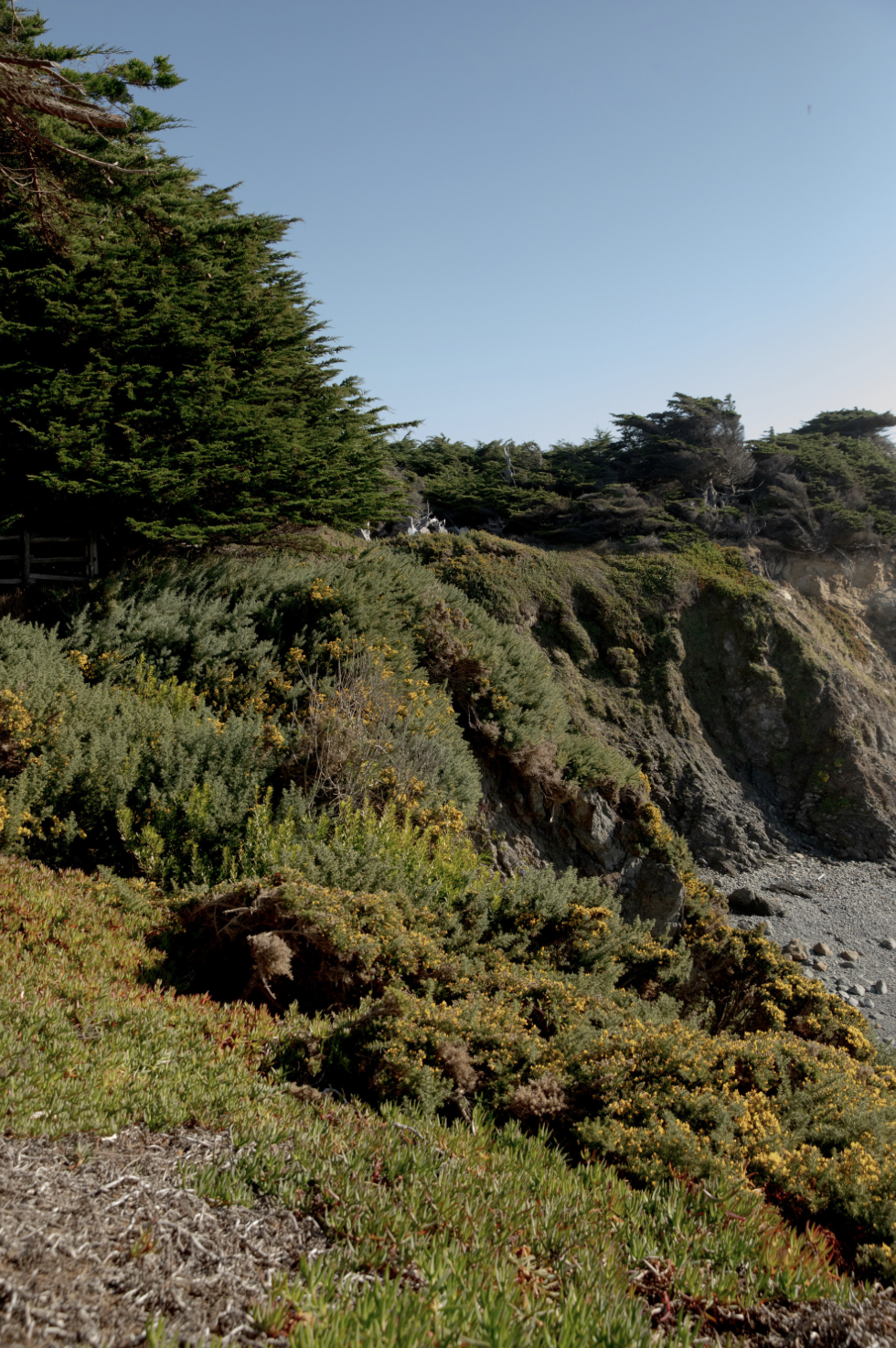 Screenshot 2025-12-28 at 1.02.01 PM.png