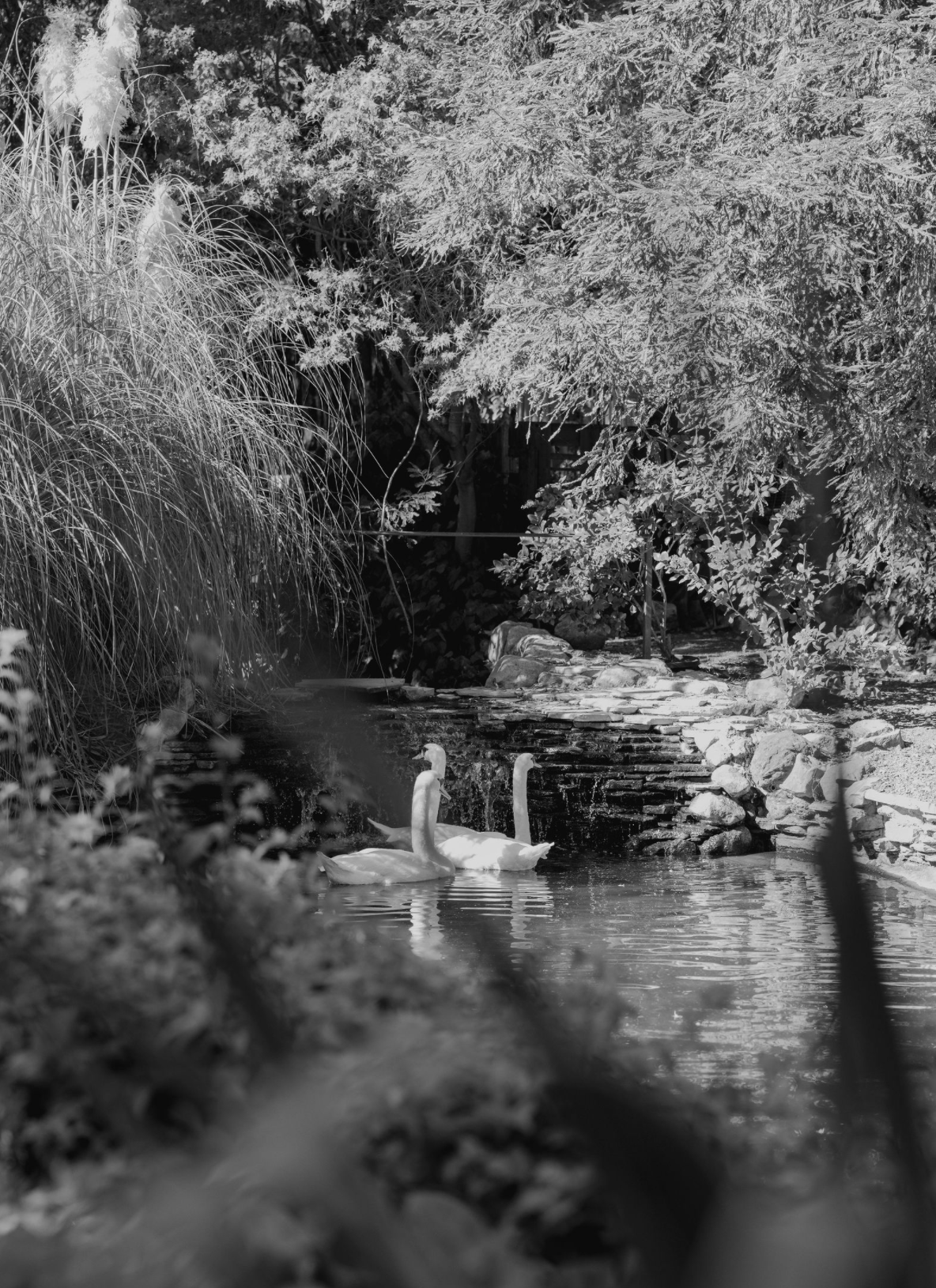 Screenshot 2025-12-28 at 1.27.29 PM.png