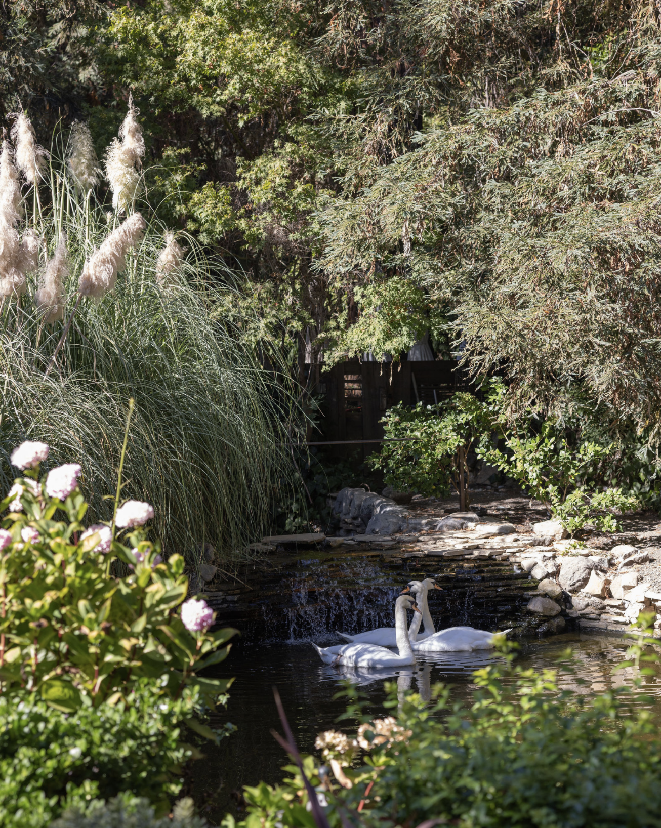 Screenshot 2025-12-28 at 1.29.10 PM.png