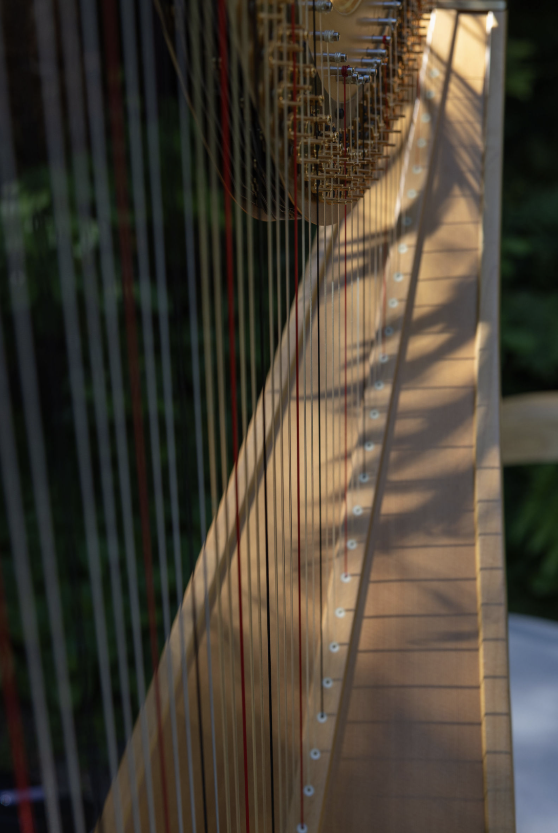 Screenshot 2025-12-28 at 1.28.42 PM.png