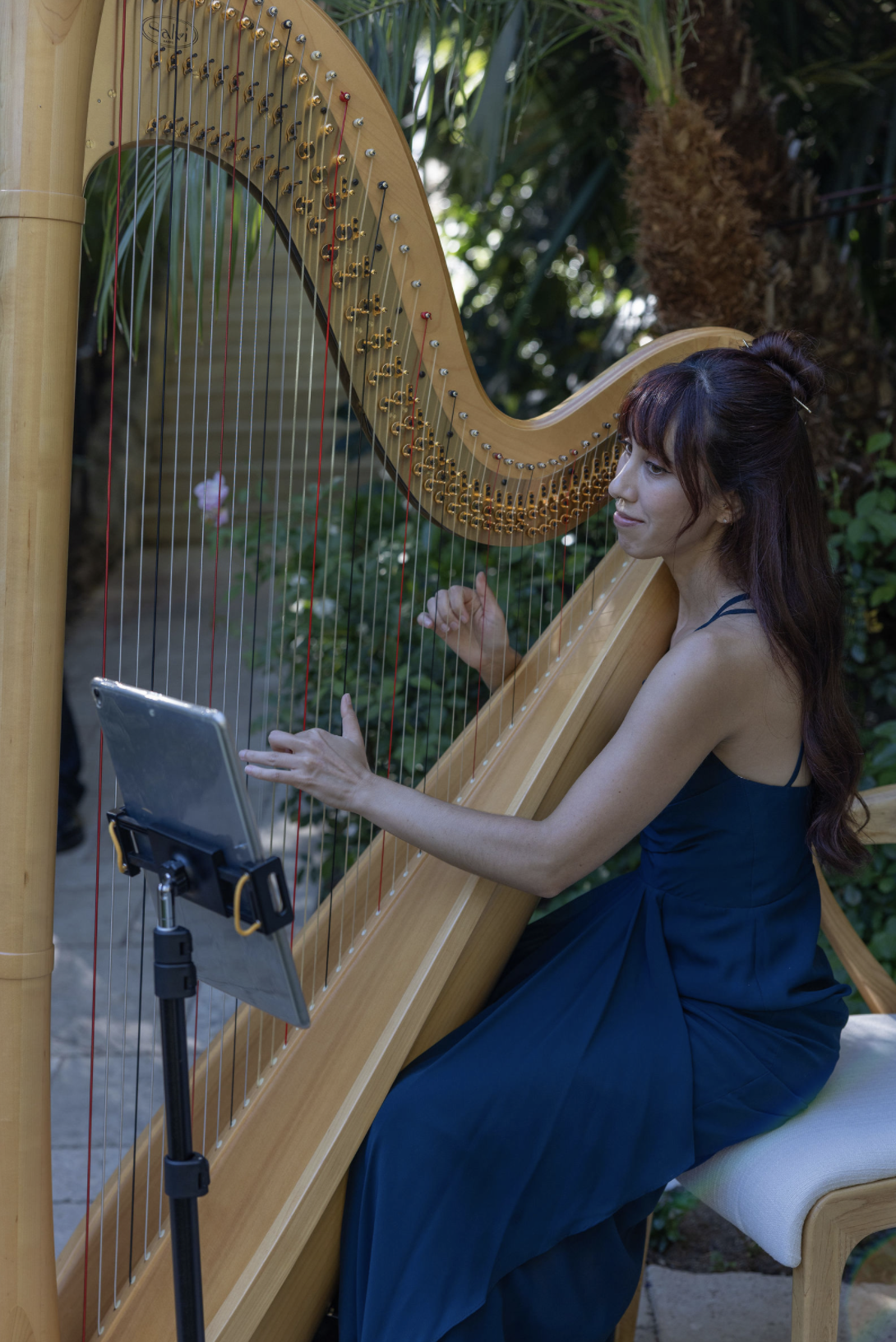 Screenshot 2025-12-28 at 1.29.42 PM.png