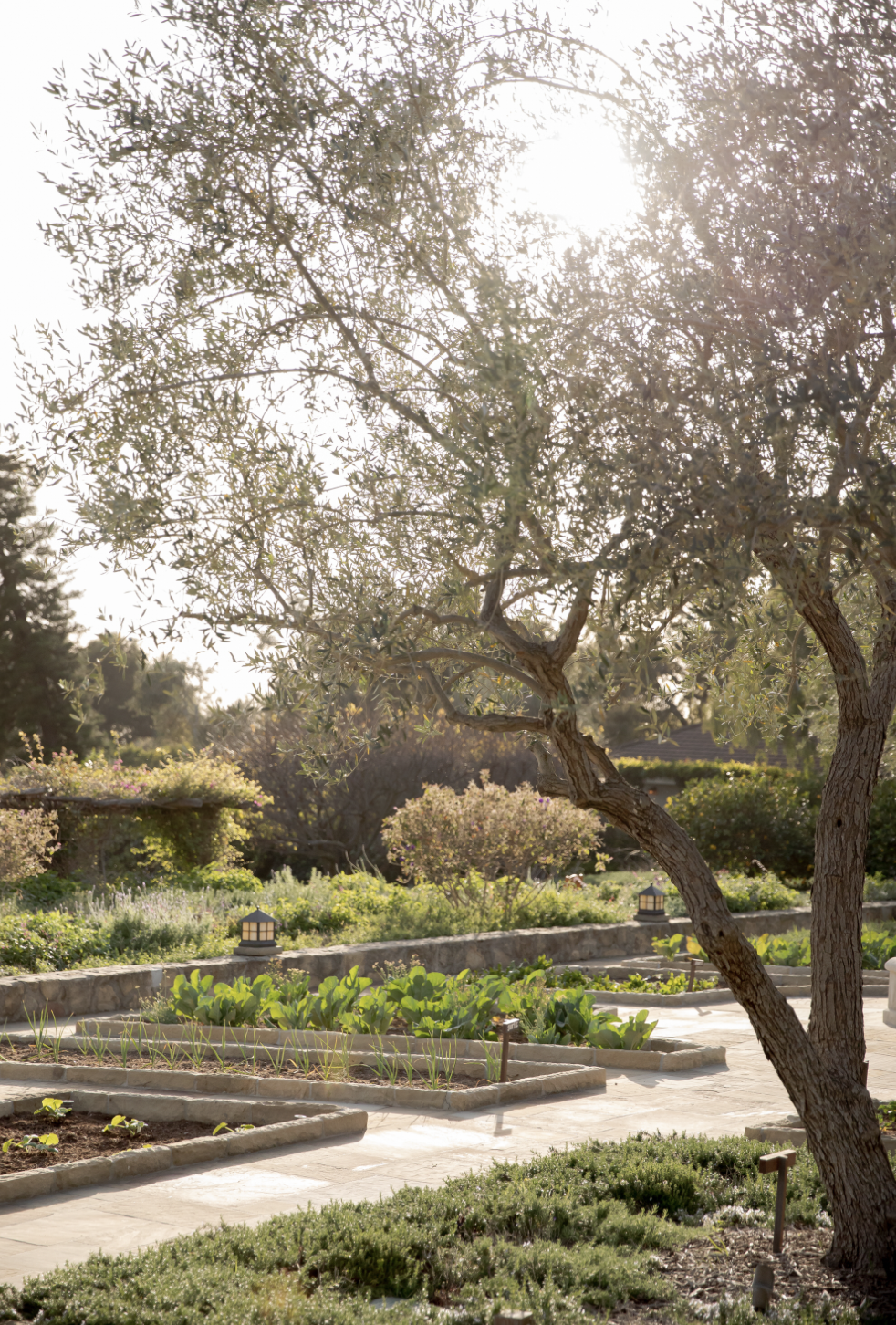 Screenshot 2025-12-28 at 1.16.52 PM.png