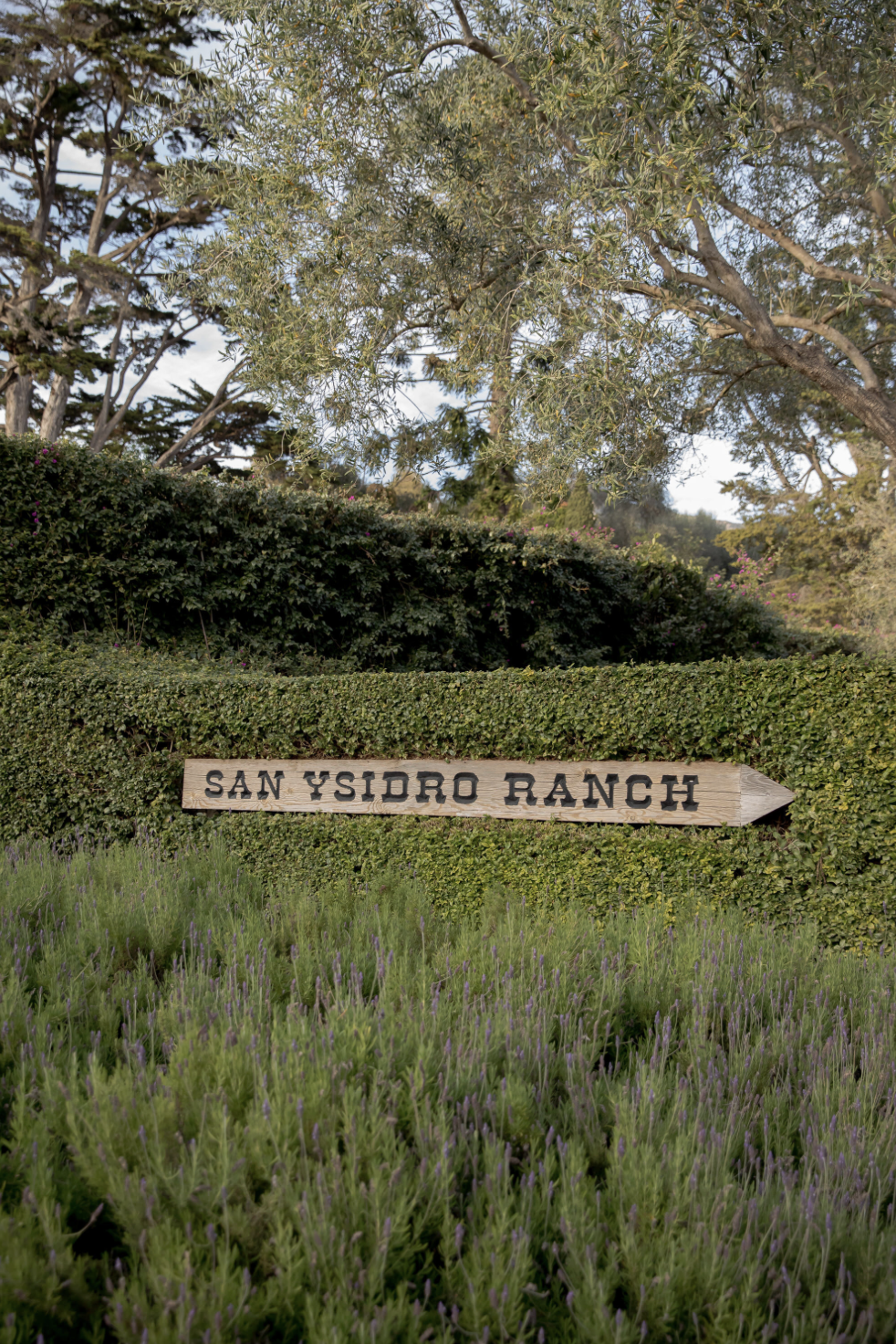 Screenshot 2025-12-28 at 1.17.24 PM.png