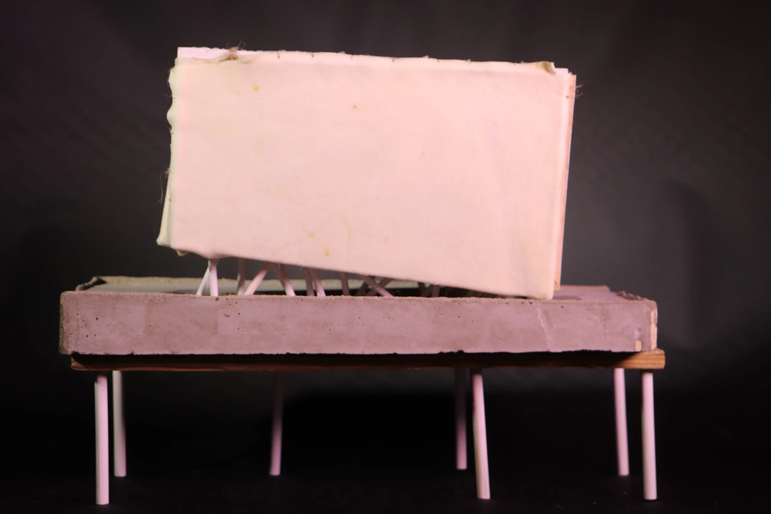 Physical Model: rawhide, concrete, paraffin wax, dowels.