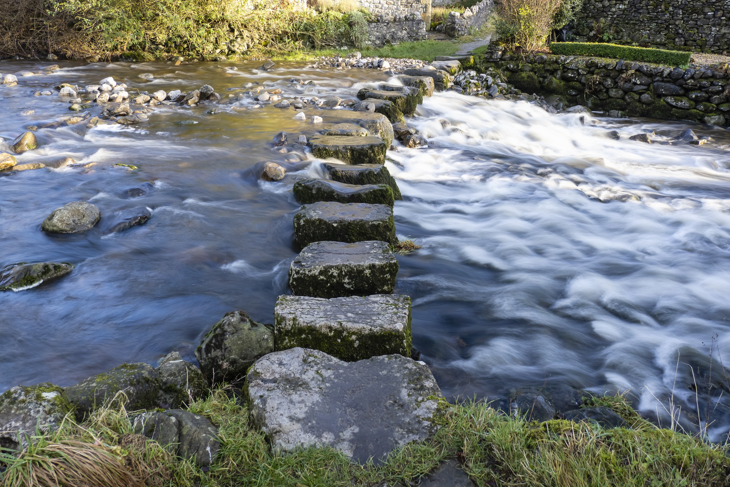 Emotional Agility: Between Emotion and Action