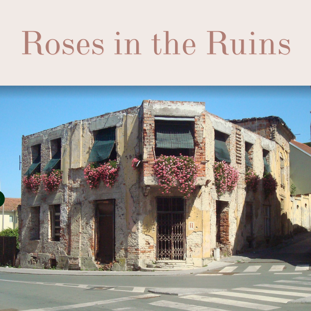 Roses in the Ruins