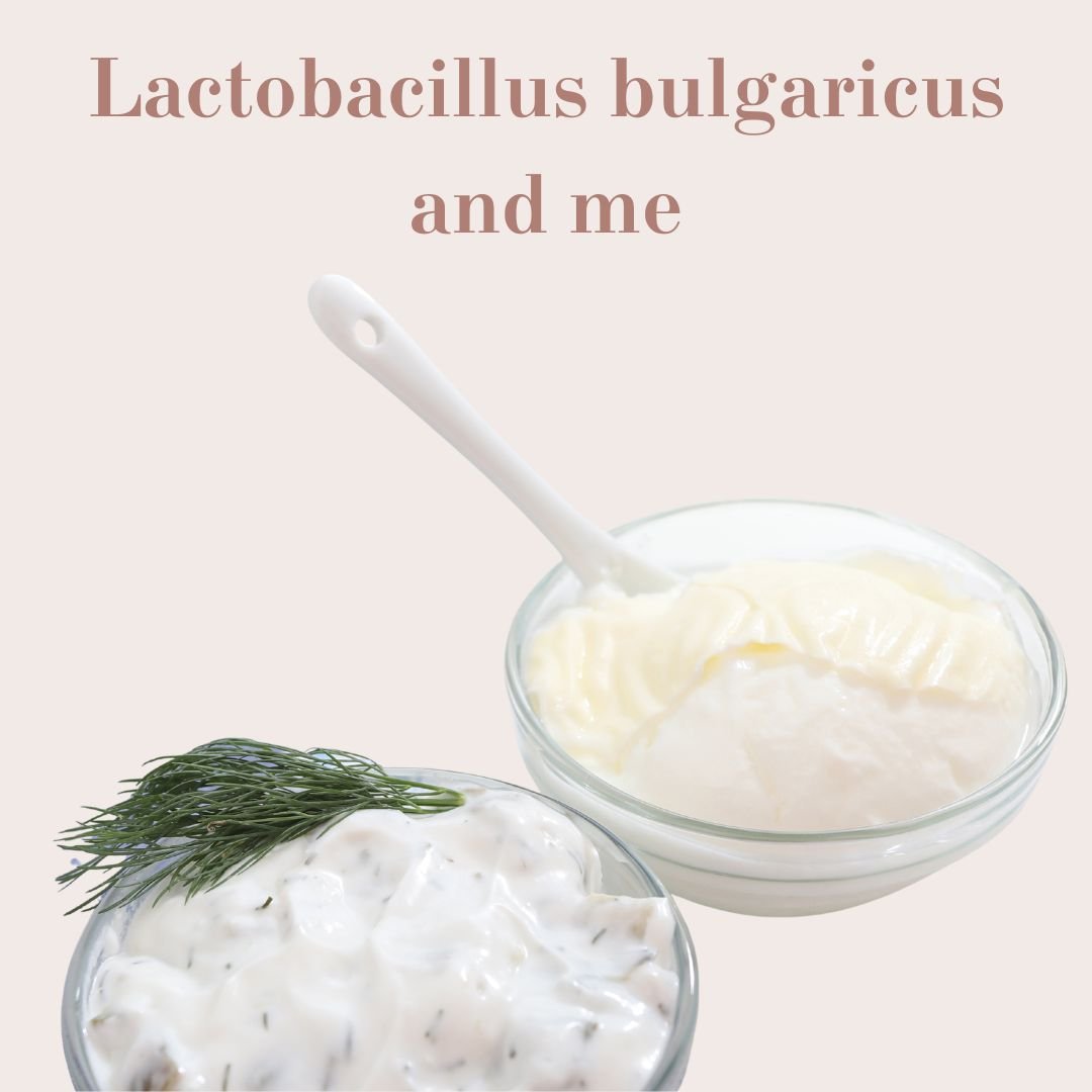 Lactobacillus bulgaricus and me