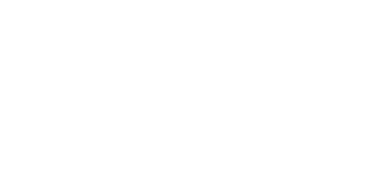 Elizabeth Rowe | Coach. Artist. Advocate.