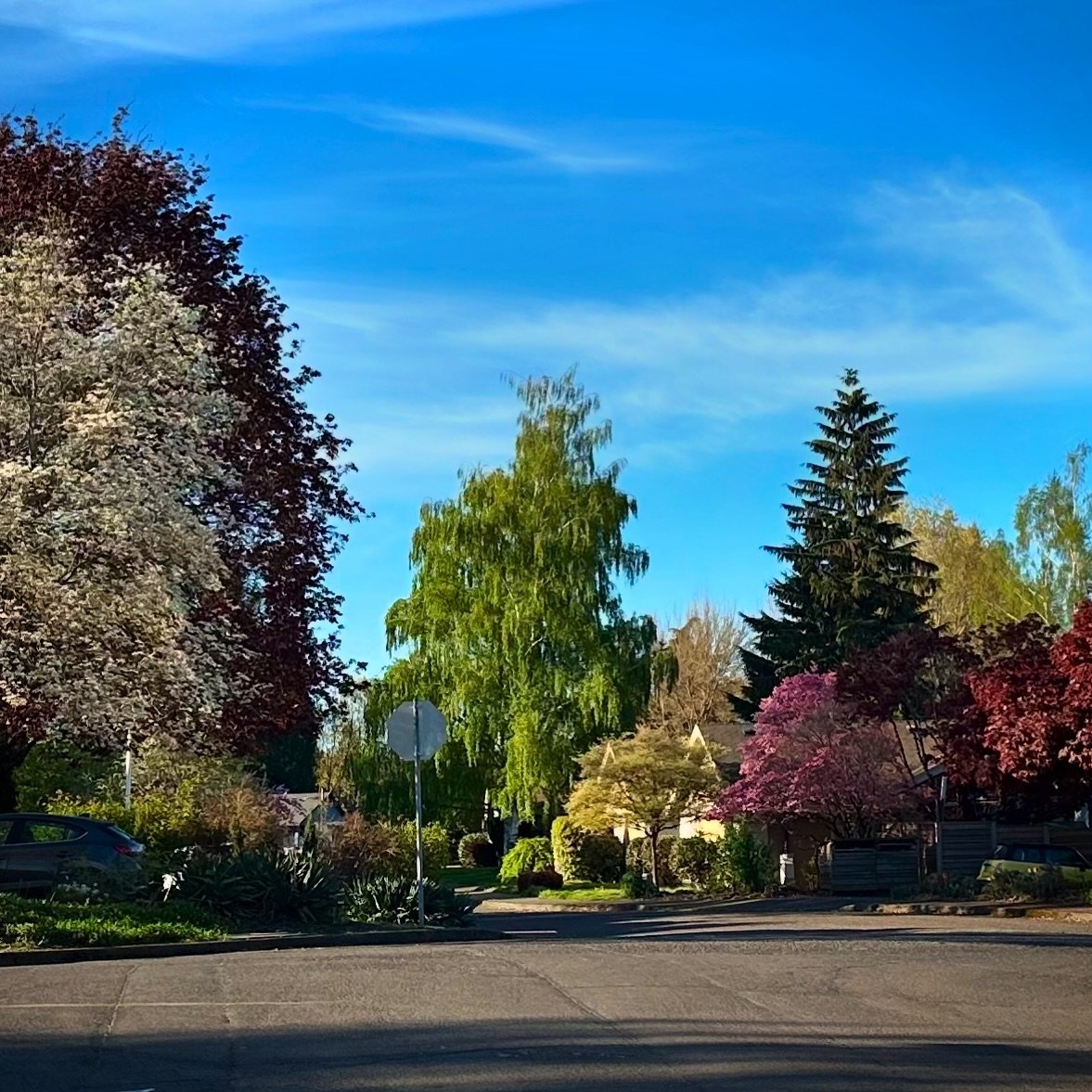 Who else is ready for Friday? Give us a wave if you see your neighbor walking through the neighborhood 👋 

Do you have some beautiful pictures  of the Reed Neighborhood? Tag them with #reedneighborhood and @reedneighborhood and we will be sure to re