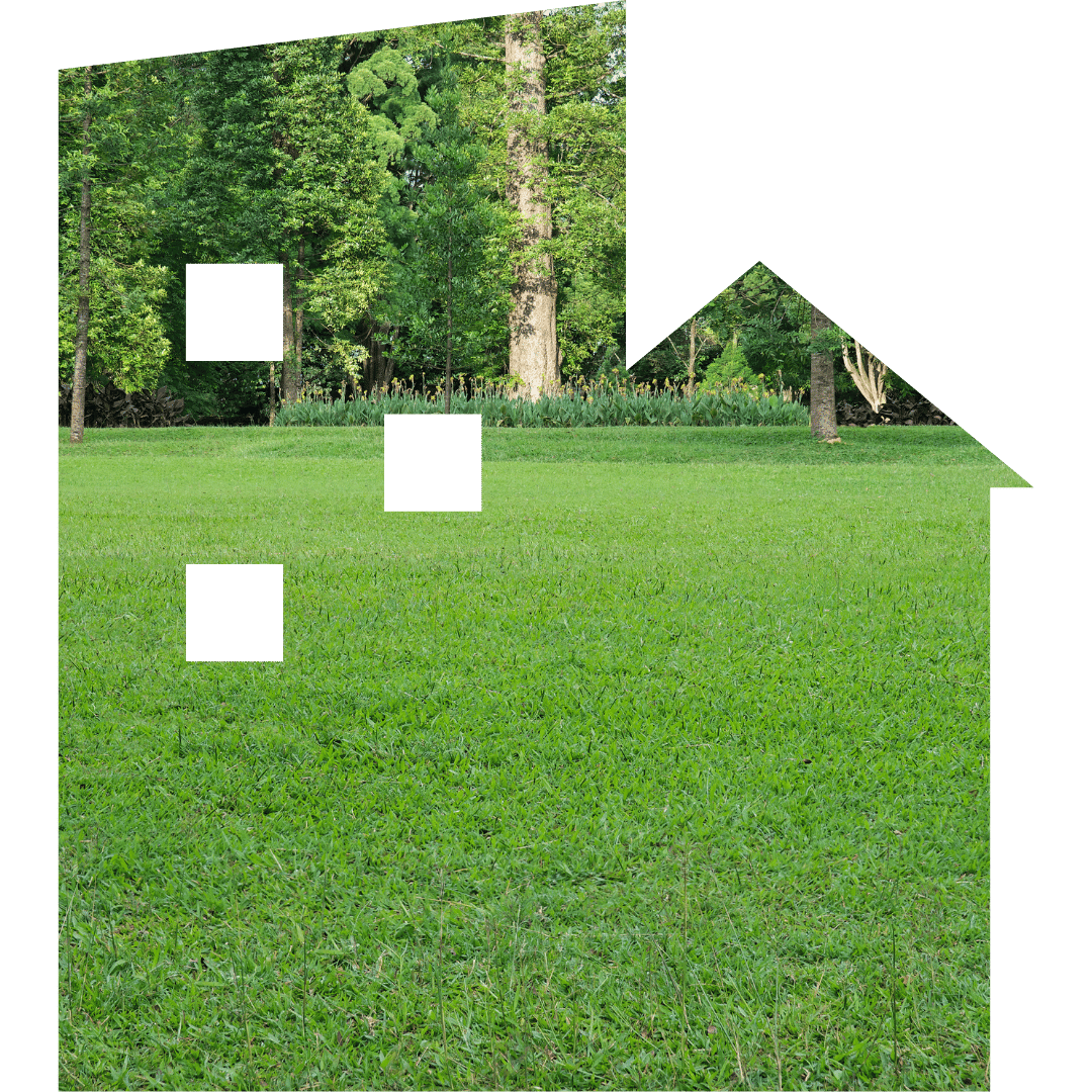 Outdoor Services