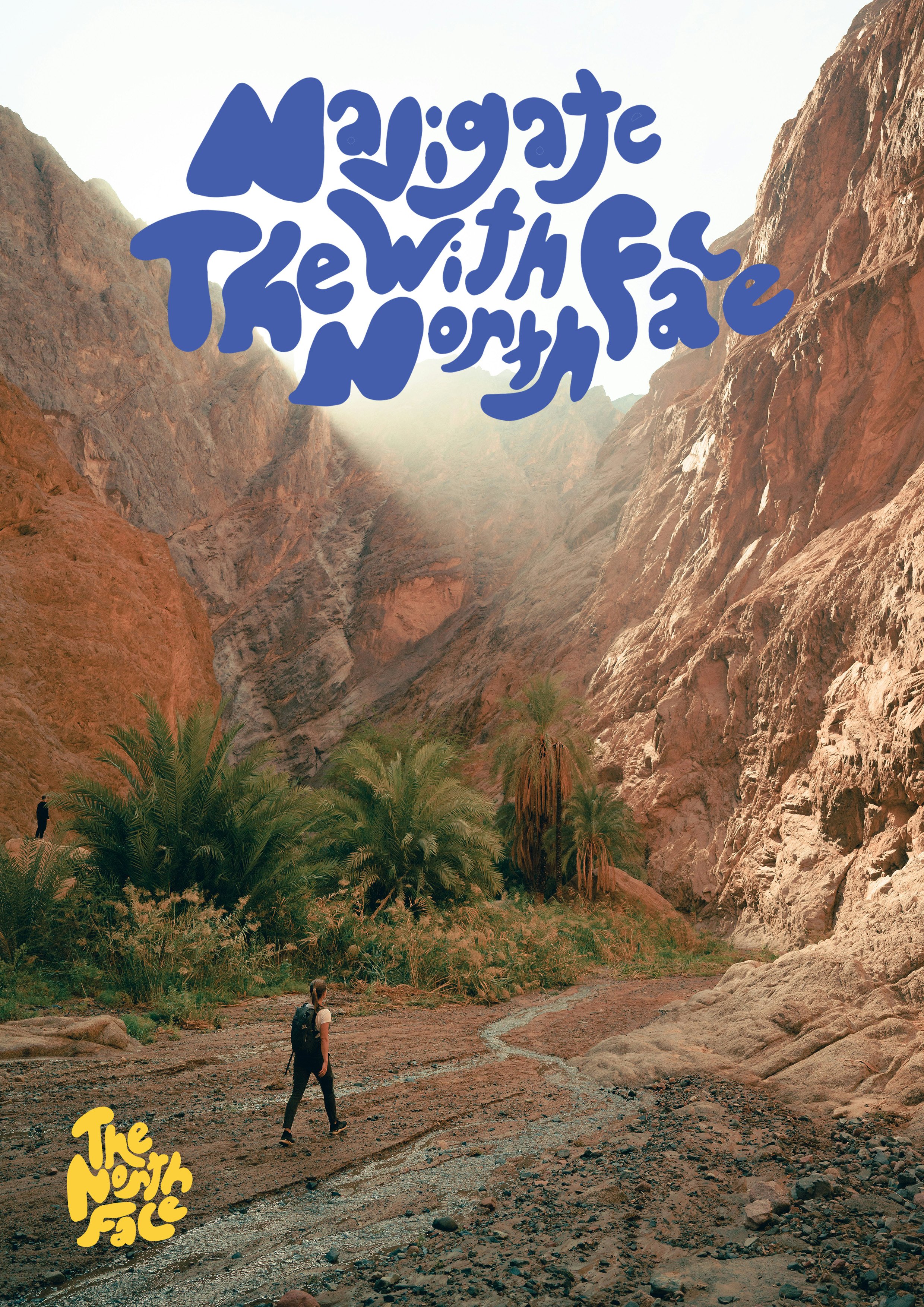 the north face poster.jpg